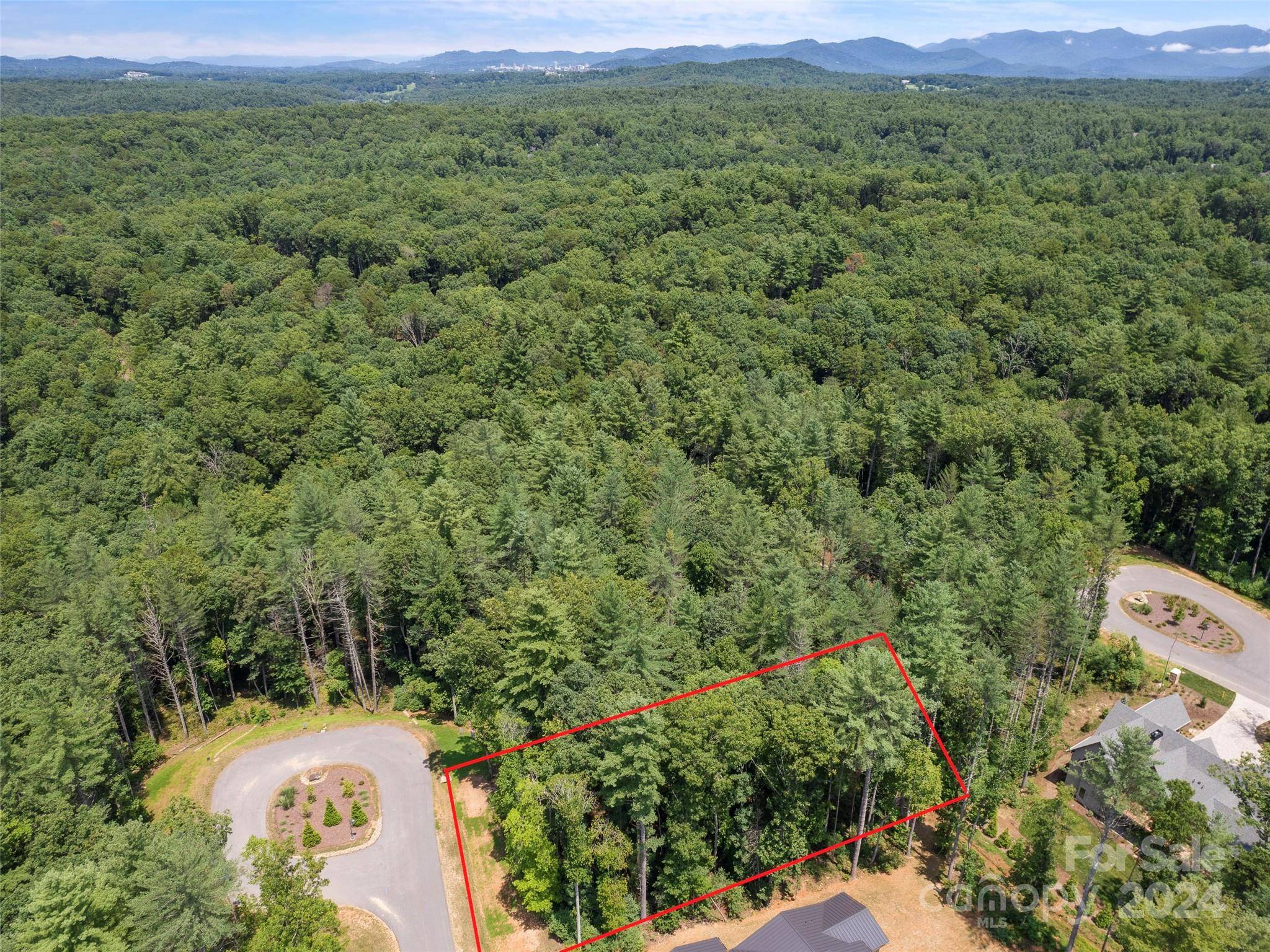 323 Flowering Vine CT #617, Asheville, NC 28803