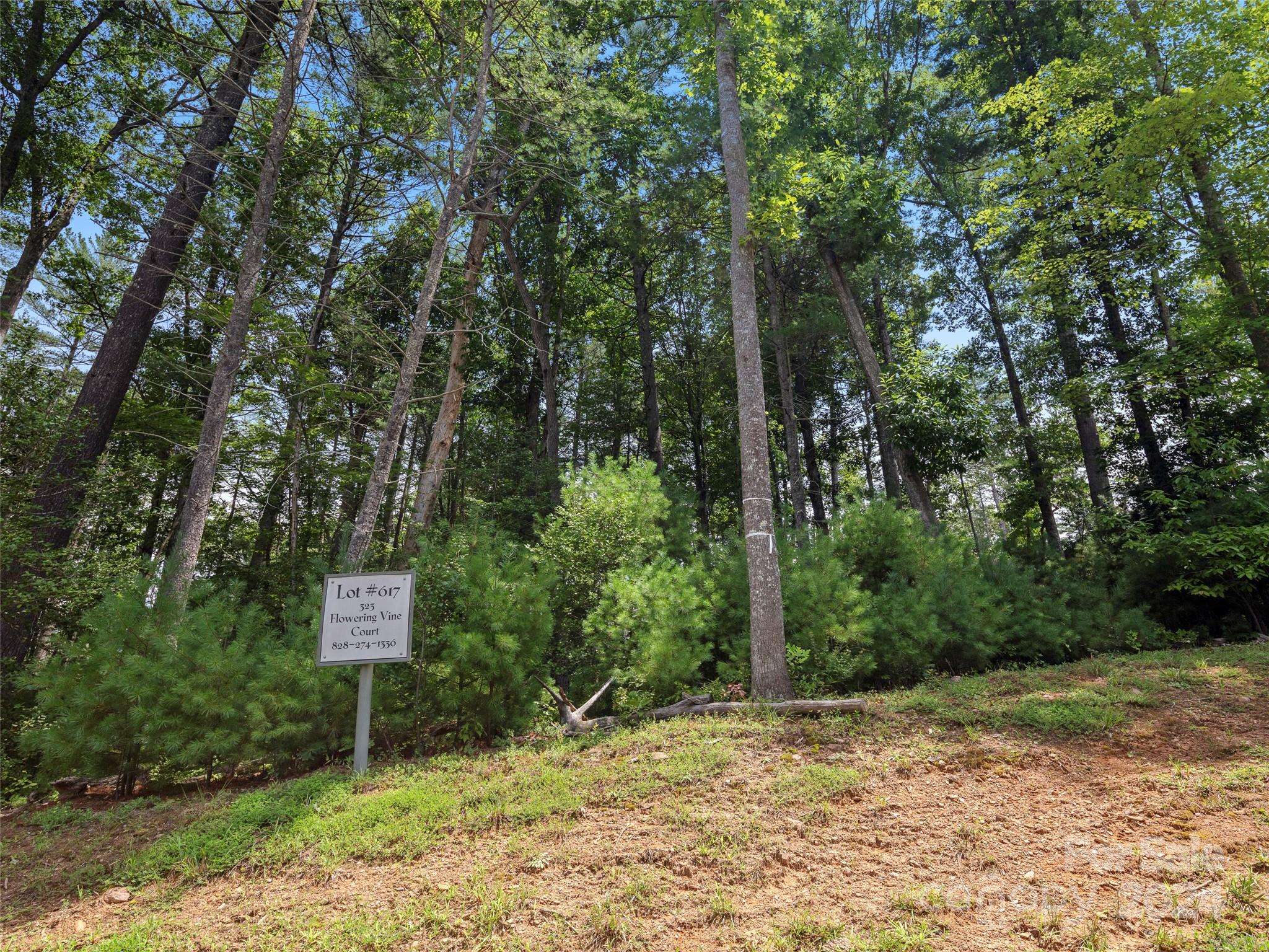 323 Flowering Vine CT #617, Asheville, NC 28803