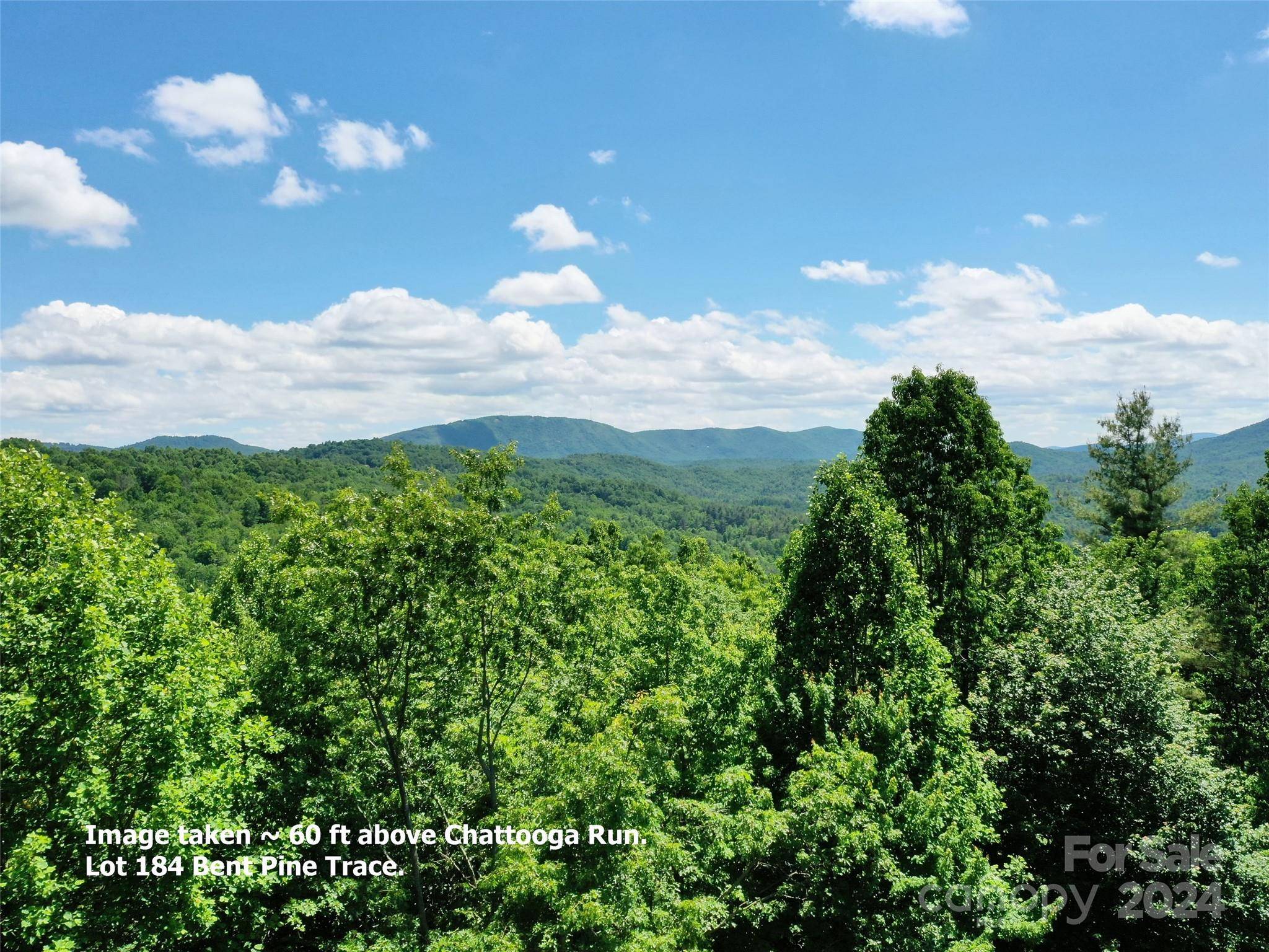 211 Bent Pine TRCE #184, Hendersonville, NC 28739