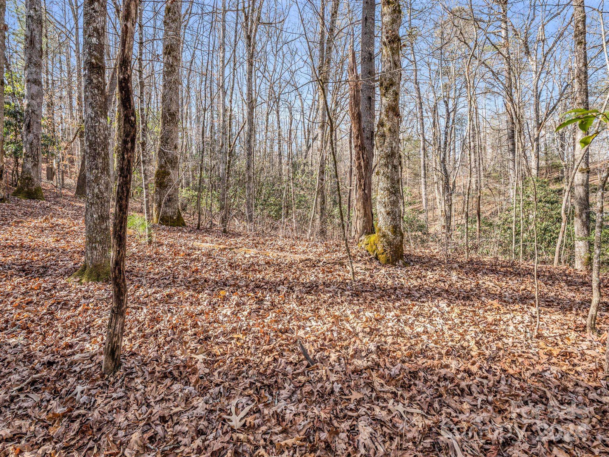 TBD Adayahi CT #14/25, Brevard, NC 28712