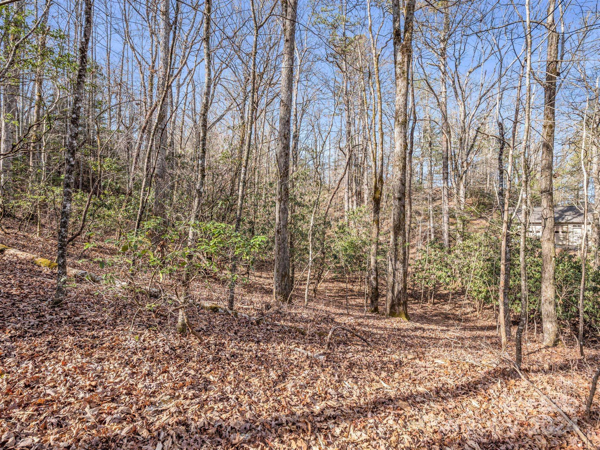 TBD Adayahi CT #14/25, Brevard, NC 28712