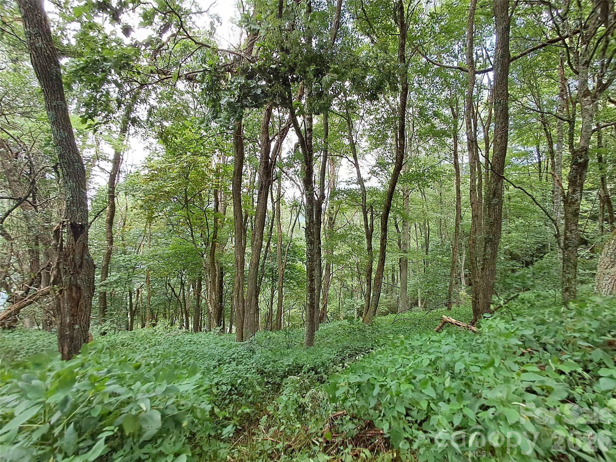 00 Hurricane Ridge TRCE #53, Clyde, NC 28721