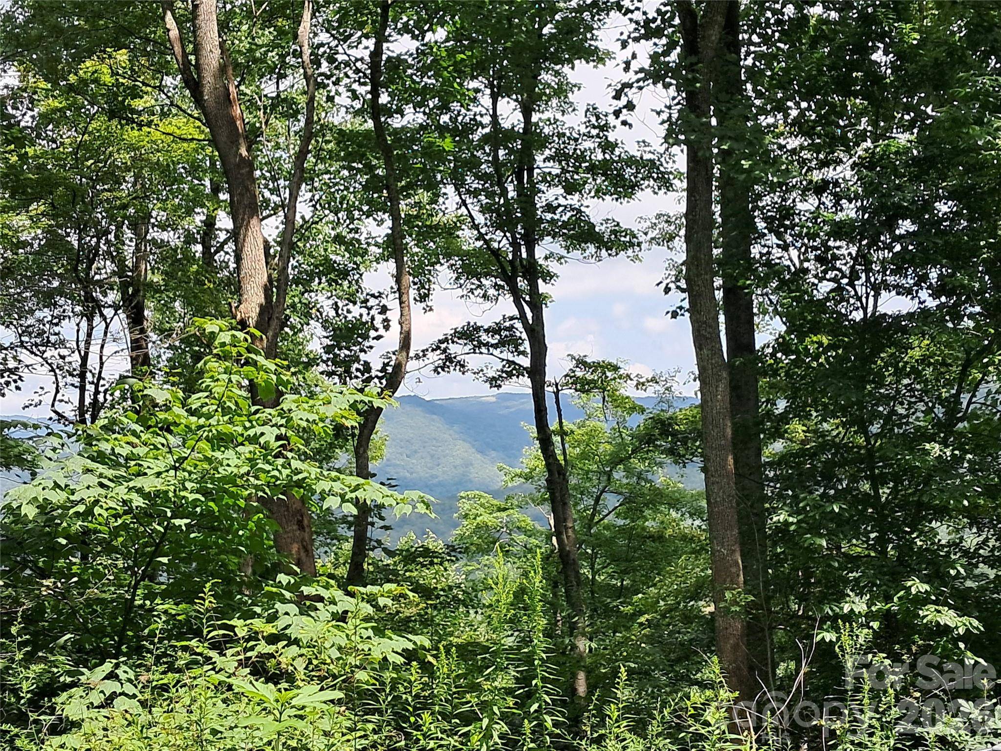 00 Hurricane Ridge TRCE #53, Clyde, NC 28721