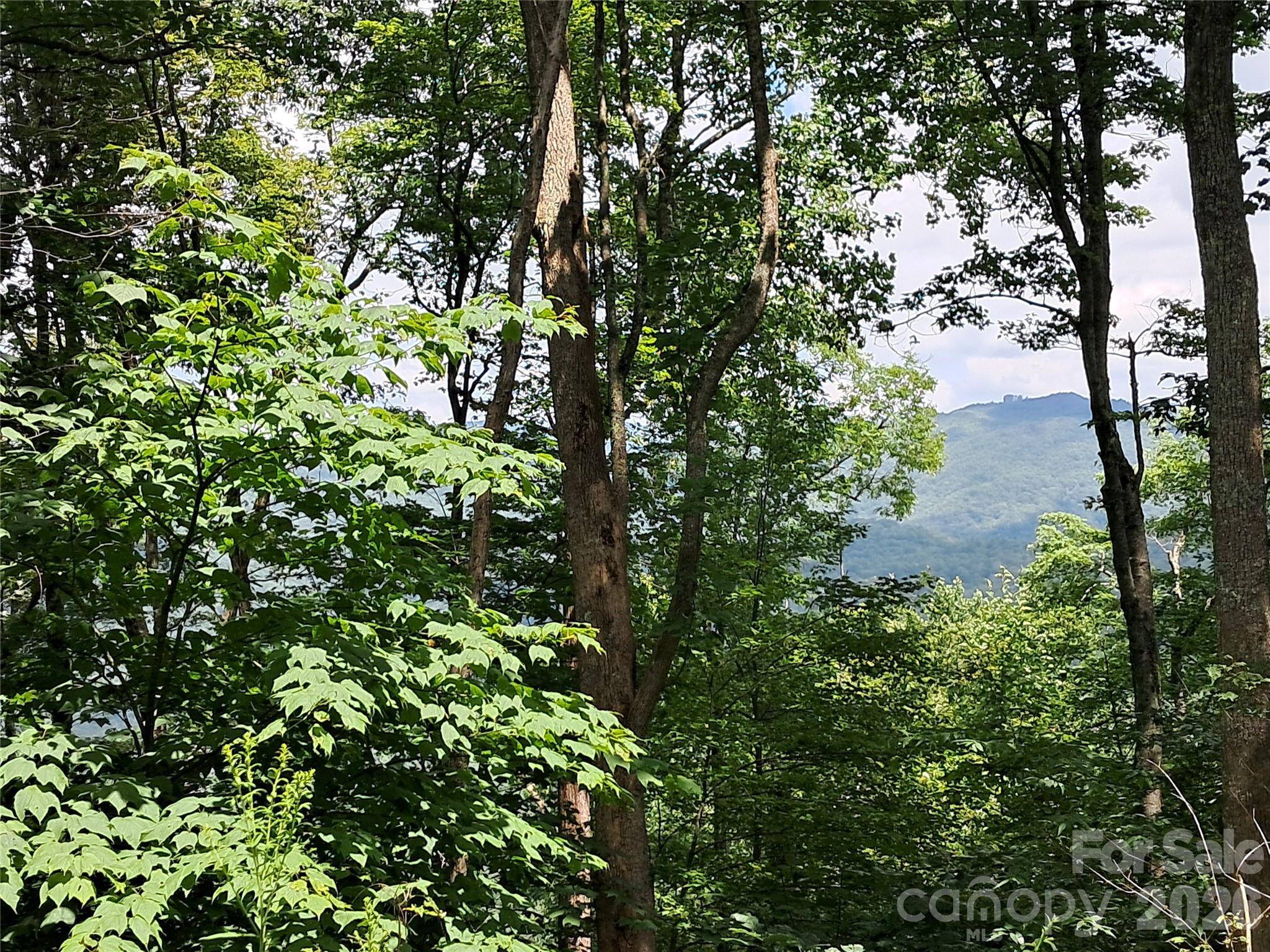 00 Hurricane Ridge TRCE #53, Clyde, NC 28721