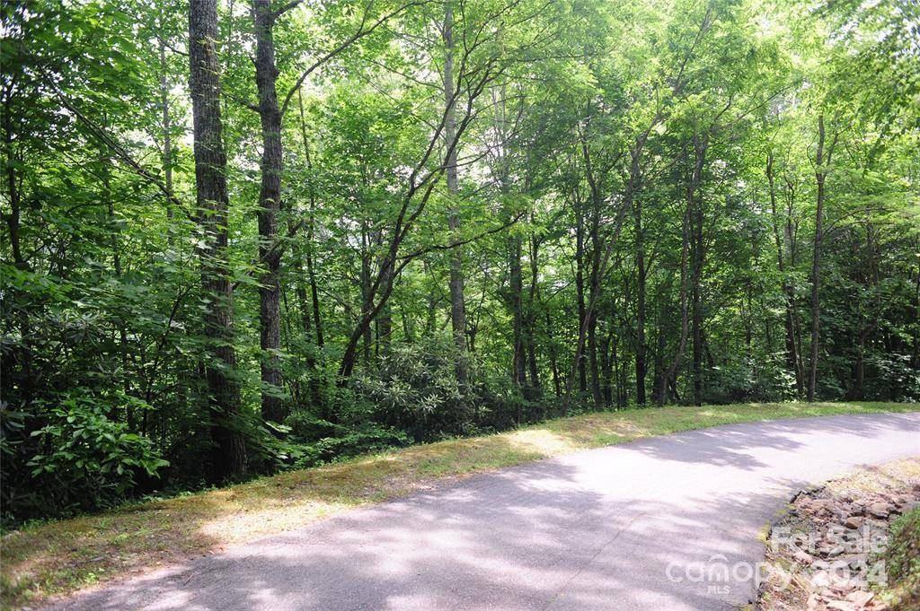 17 Wood Haven LN #111, Black Mountain, NC 28711