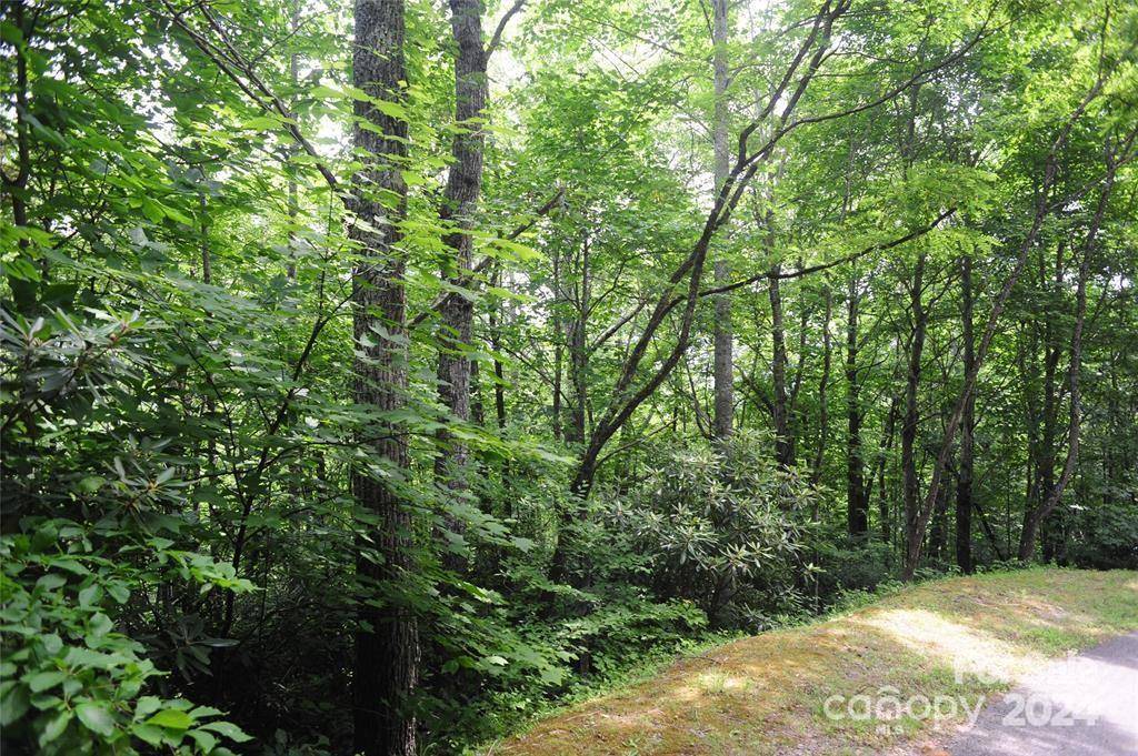 17 Wood Haven LN #111, Black Mountain, NC 28711