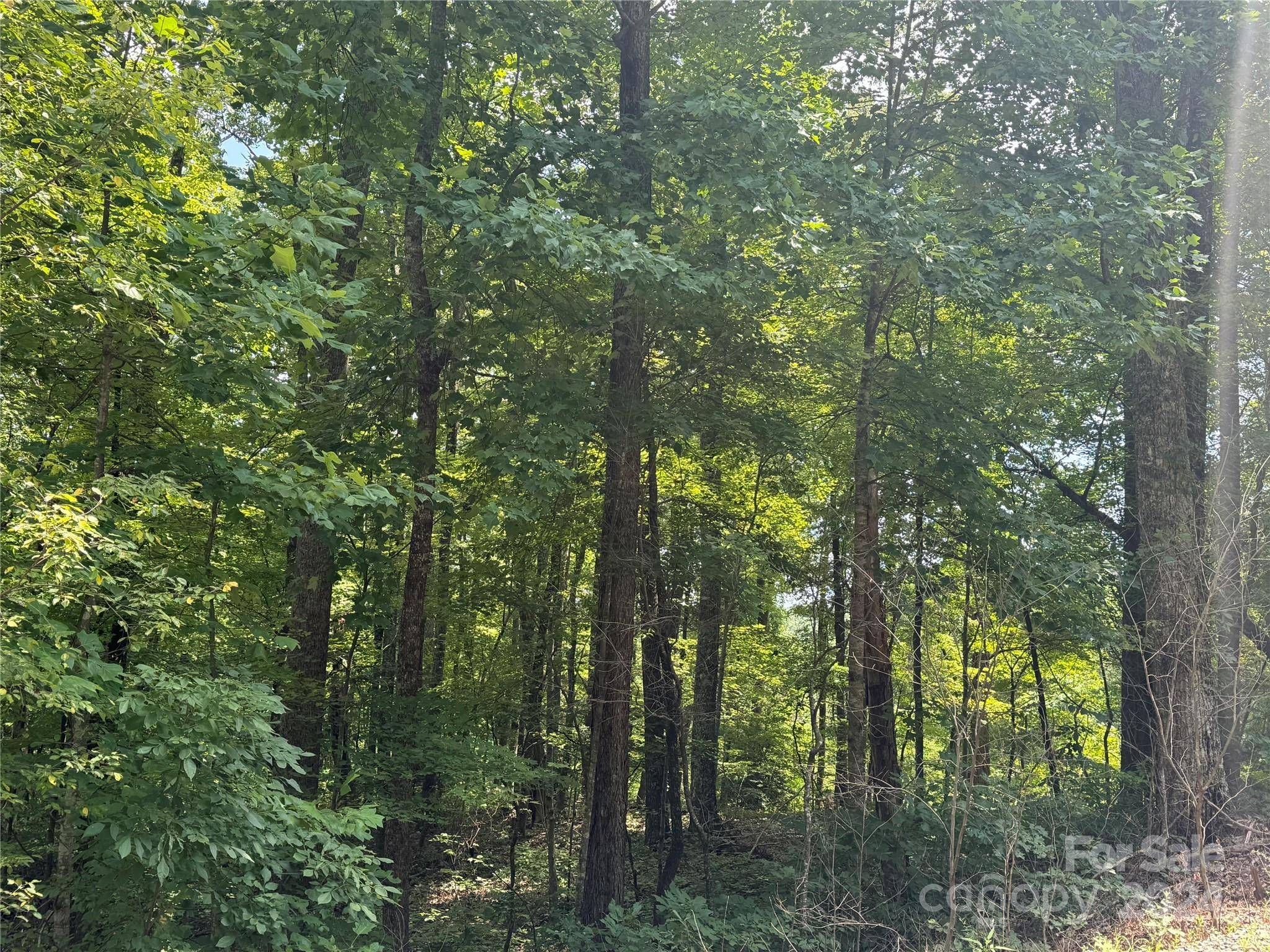 177 Peartree DR, Lake Lure, NC 28746