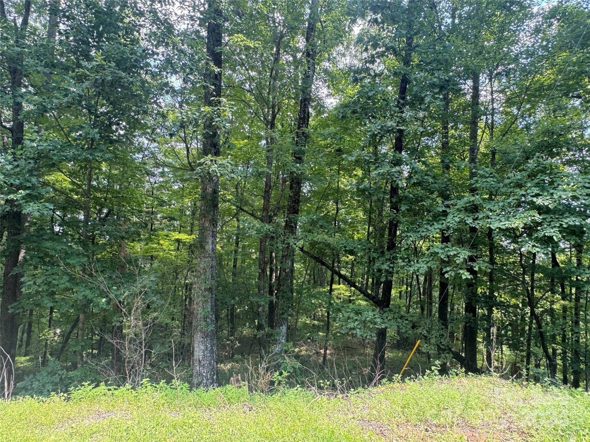 177 Peartree DR, Lake Lure, NC 28746