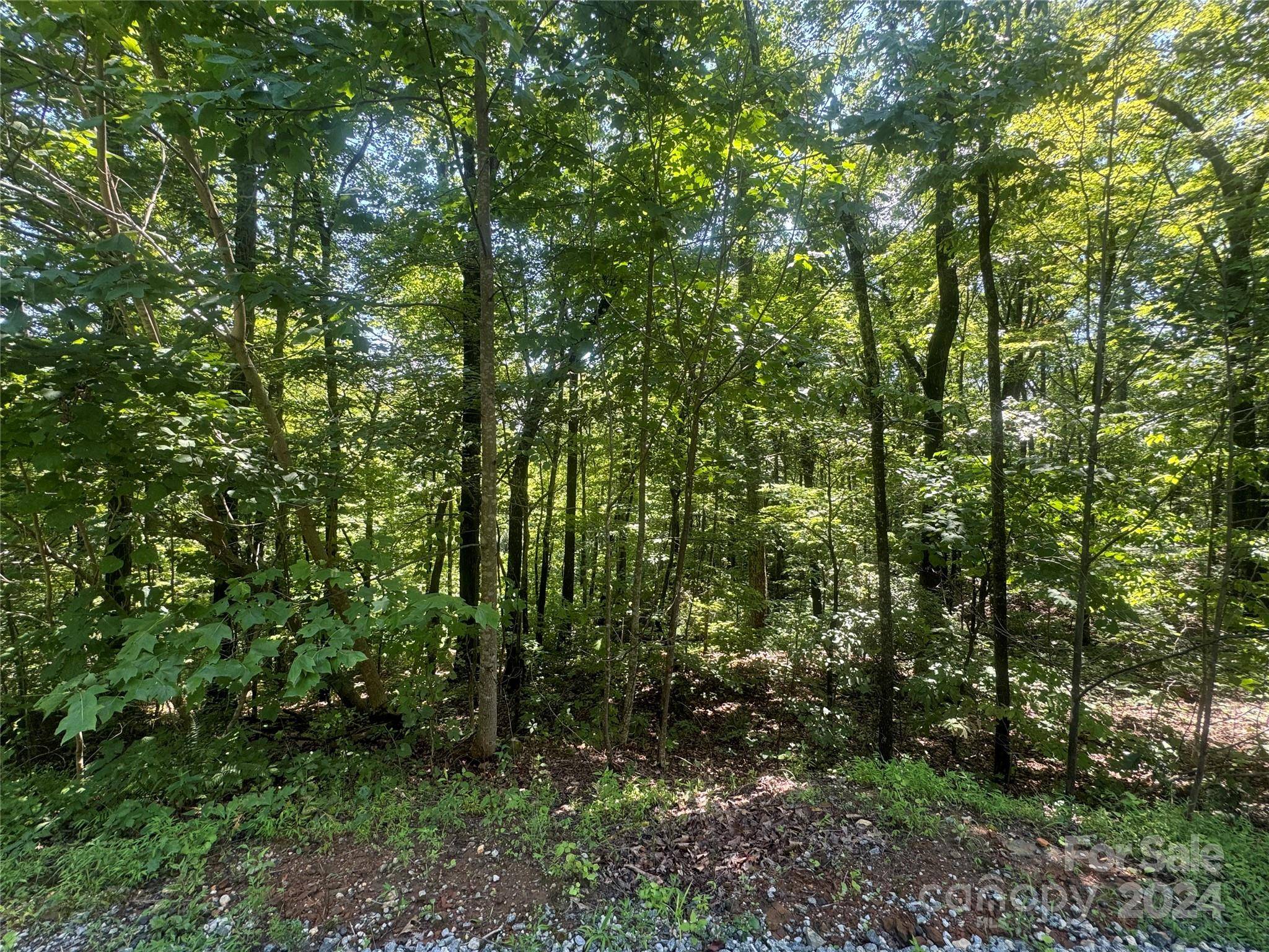177 Peartree DR, Lake Lure, NC 28746