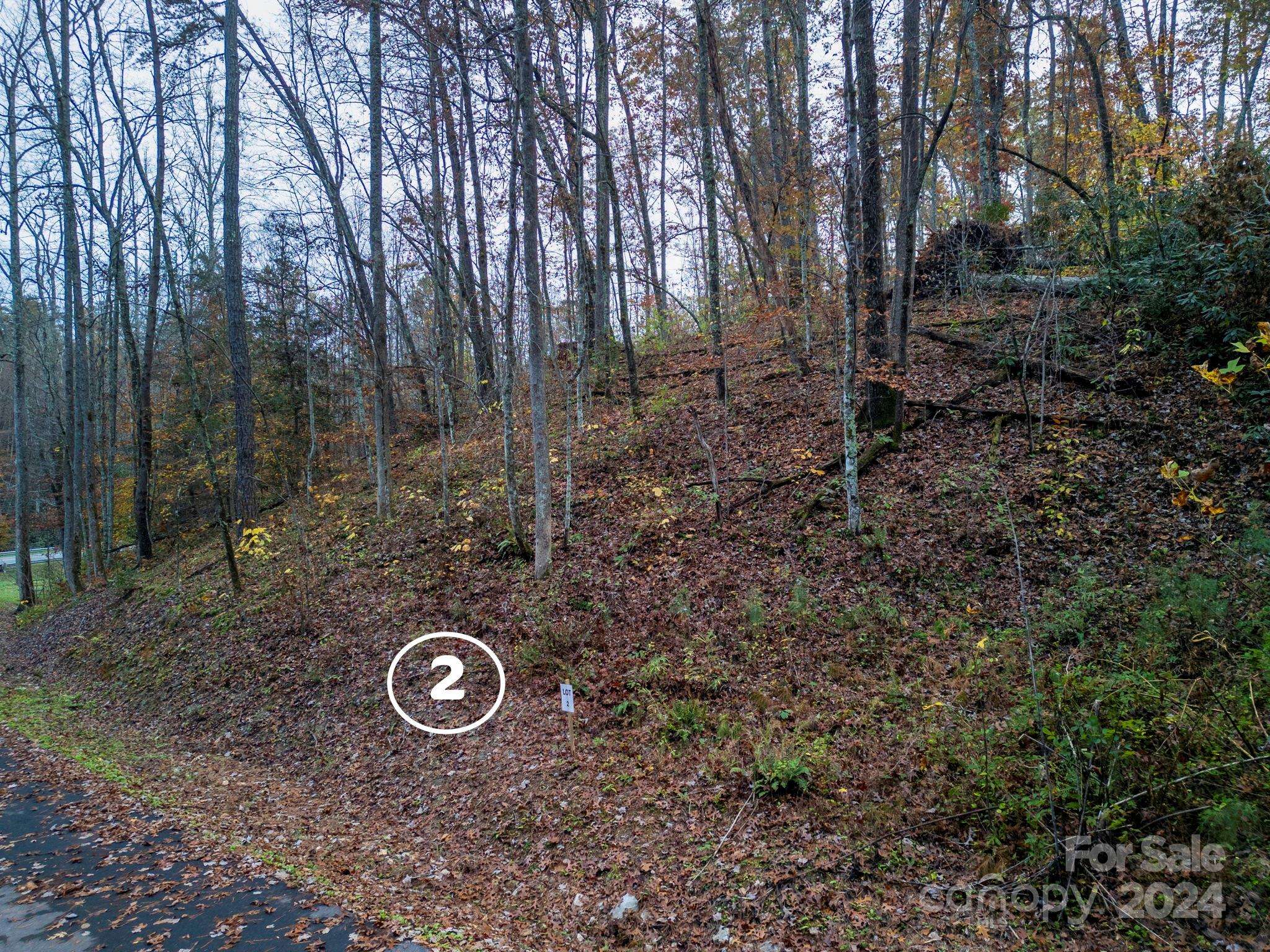 13 Cherry Cove WAY #2, Old Fort, NC 28762