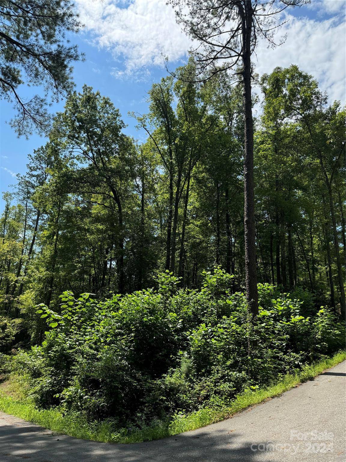13 Cherry Cove WAY #2, Old Fort, NC 28762