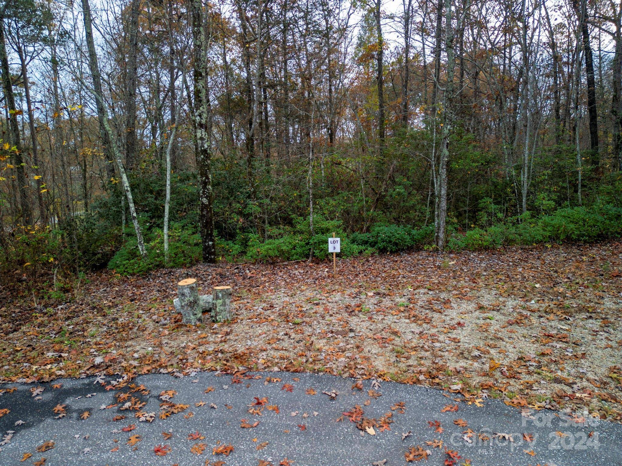 63 Cherry Cove LN #3, Old Fort, NC 28762