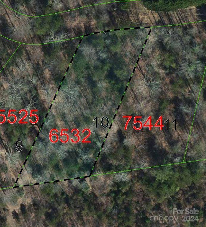 TBD Biggerstaff LOOP #lot #10, Nebo, NC 28761