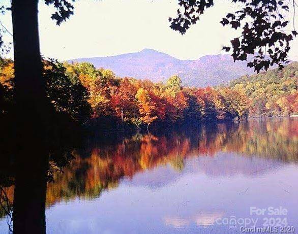 TBD Biggerstaff LOOP #lot #10, Nebo, NC 28761