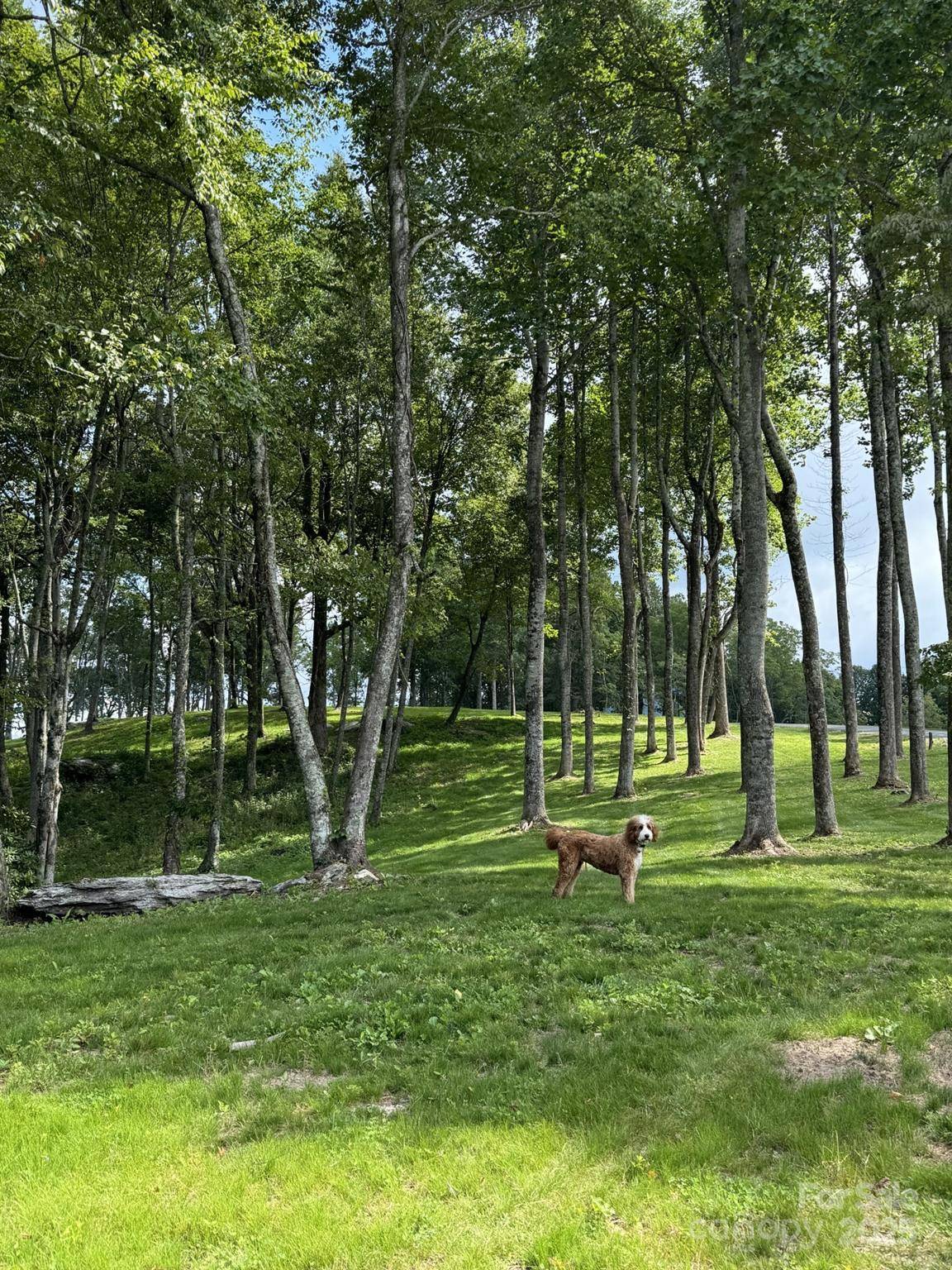0000 West Garden TRL #Lot 63, Hendersonville, NC 28792