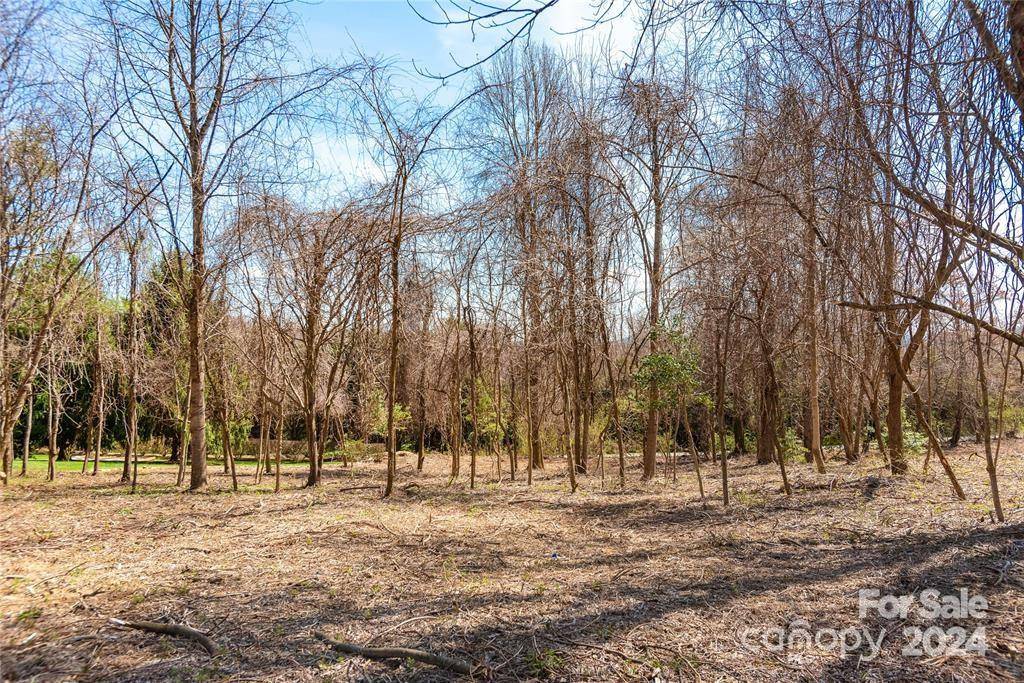 000 BERRY CREEK DR, Flat Rock, NC 28731