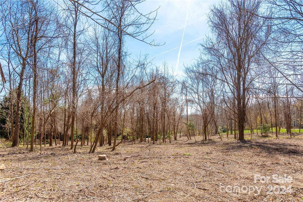 000 BERRY CREEK DR, Flat Rock, NC 28731