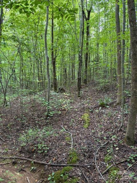 00 Timber RD, Iron Station, NC 28080