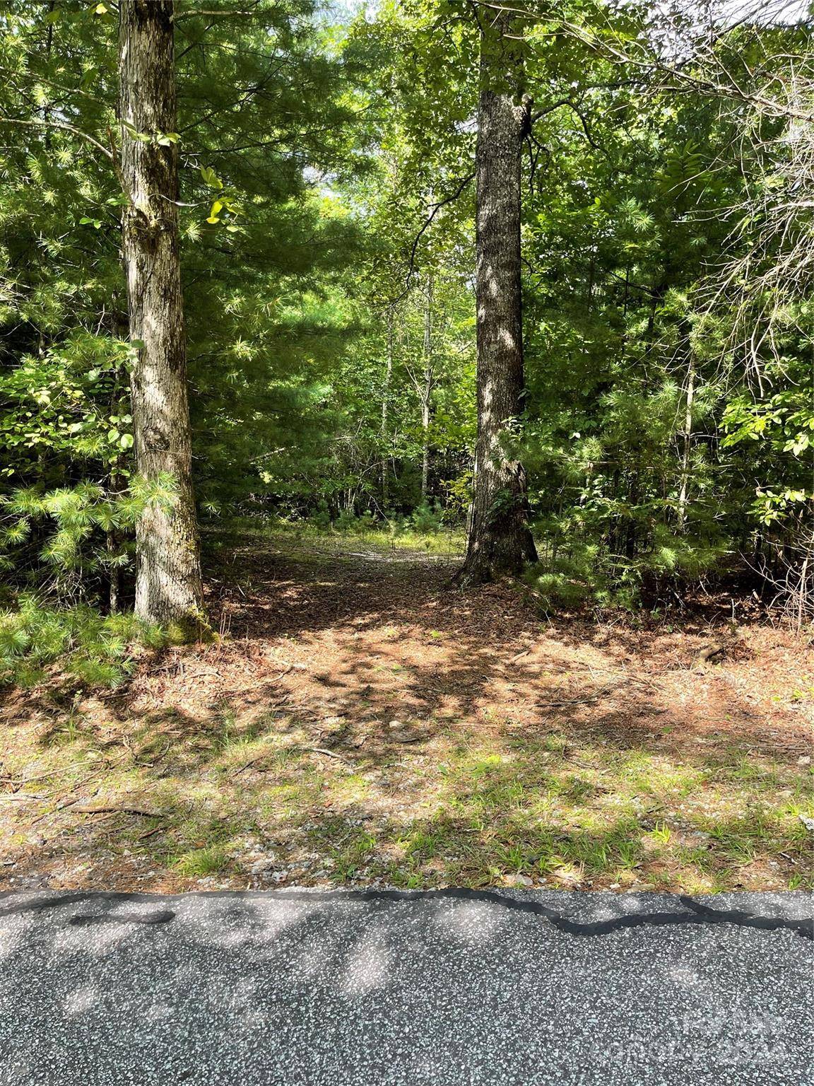 #25 Oleta Mill TRL, Dana, NC 28792