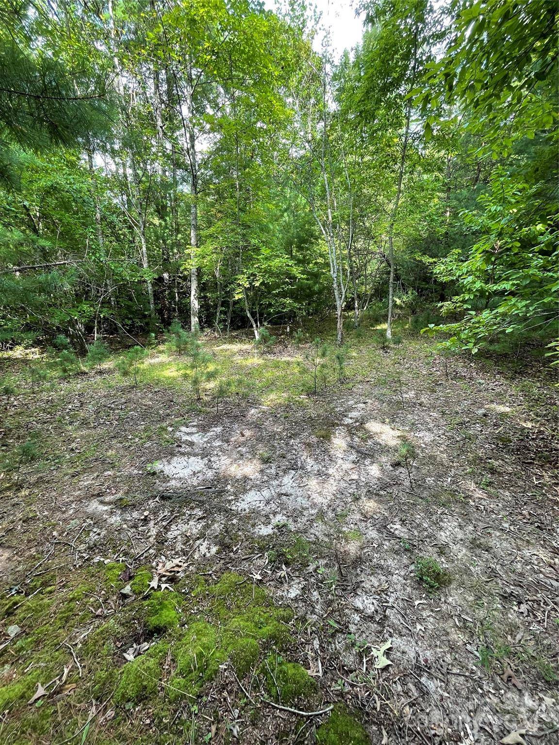 #25 Oleta Mill TRL, Dana, NC 28792
