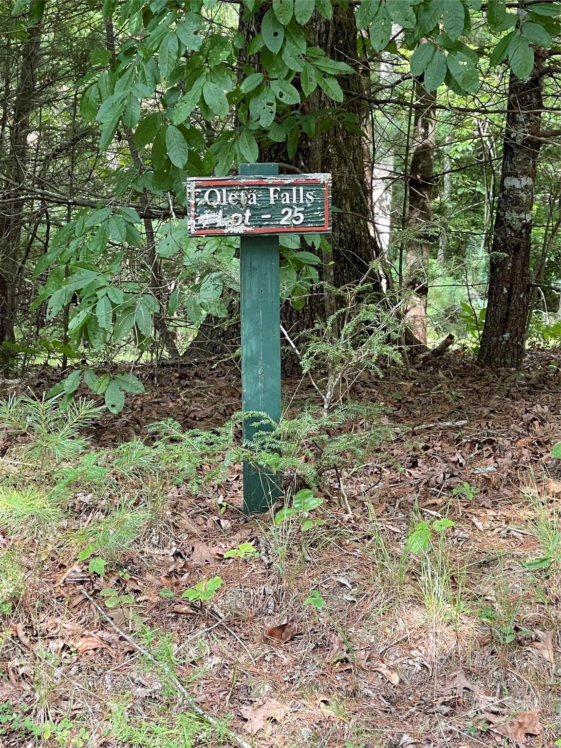 #25 Oleta Mill TRL, Dana, NC 28792