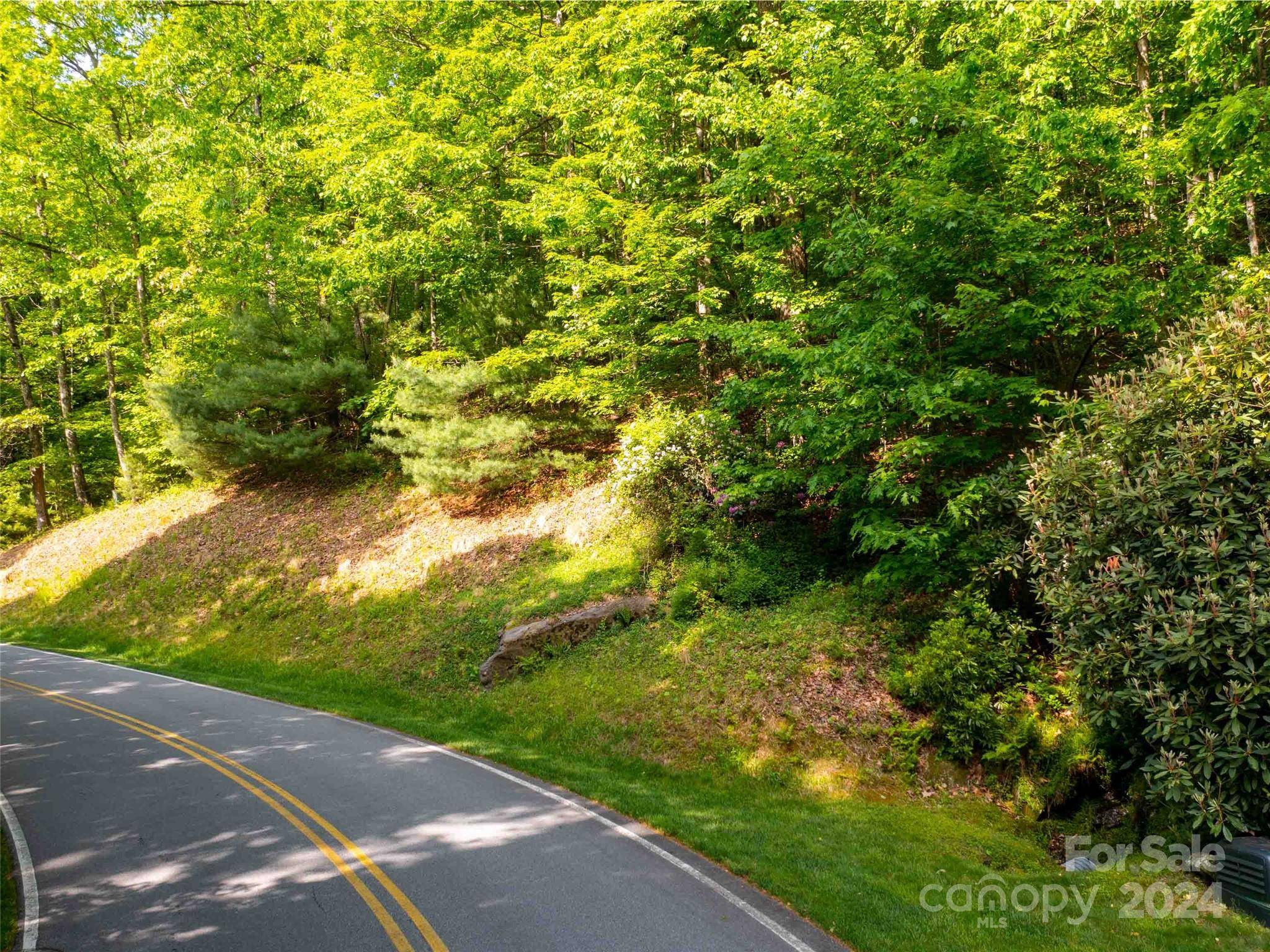 166 Chattooga RUN #293, Hendersonville, NC 28739