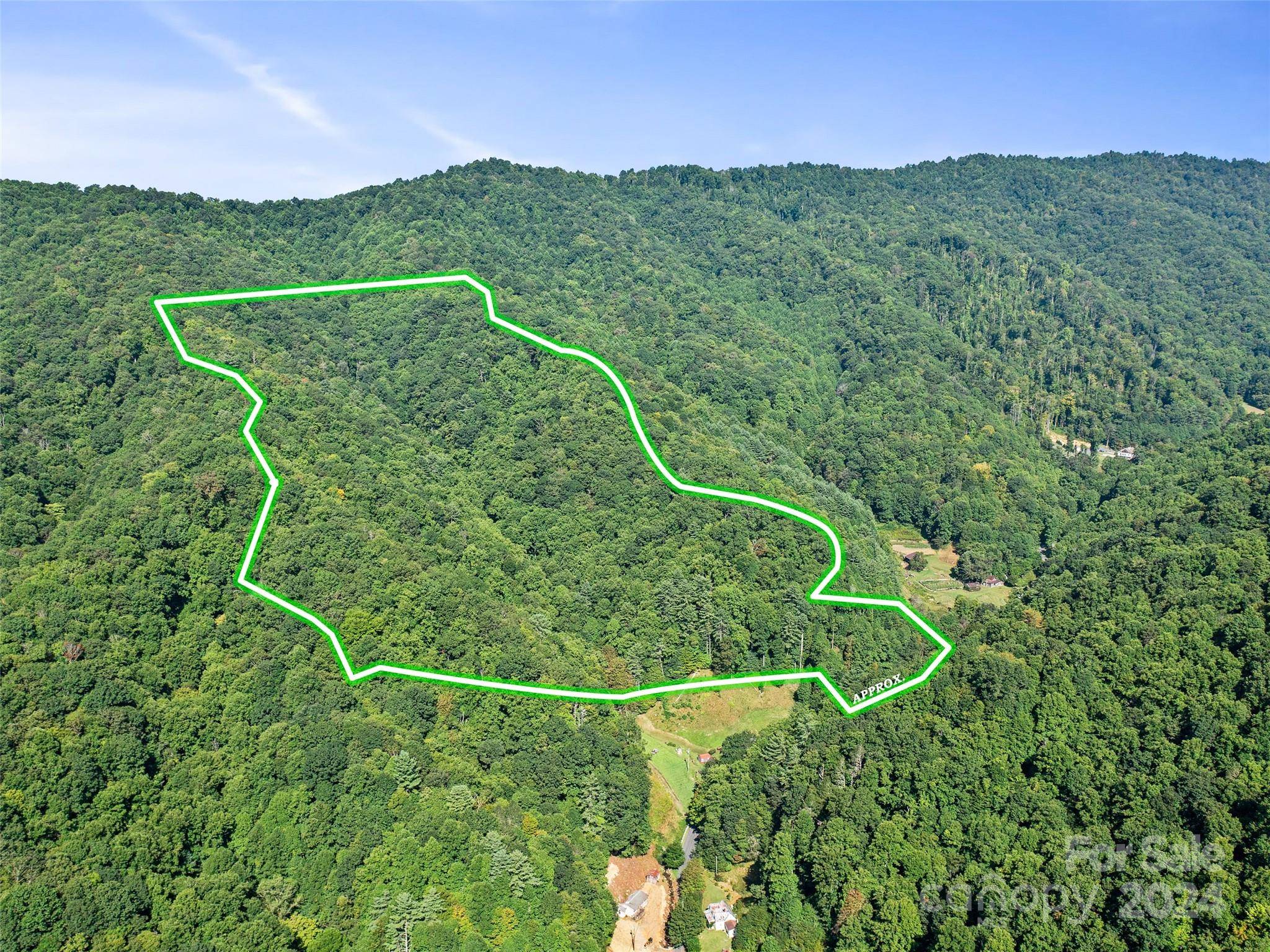 000 Byrd Creek RD, Green Mountain, NC 28740