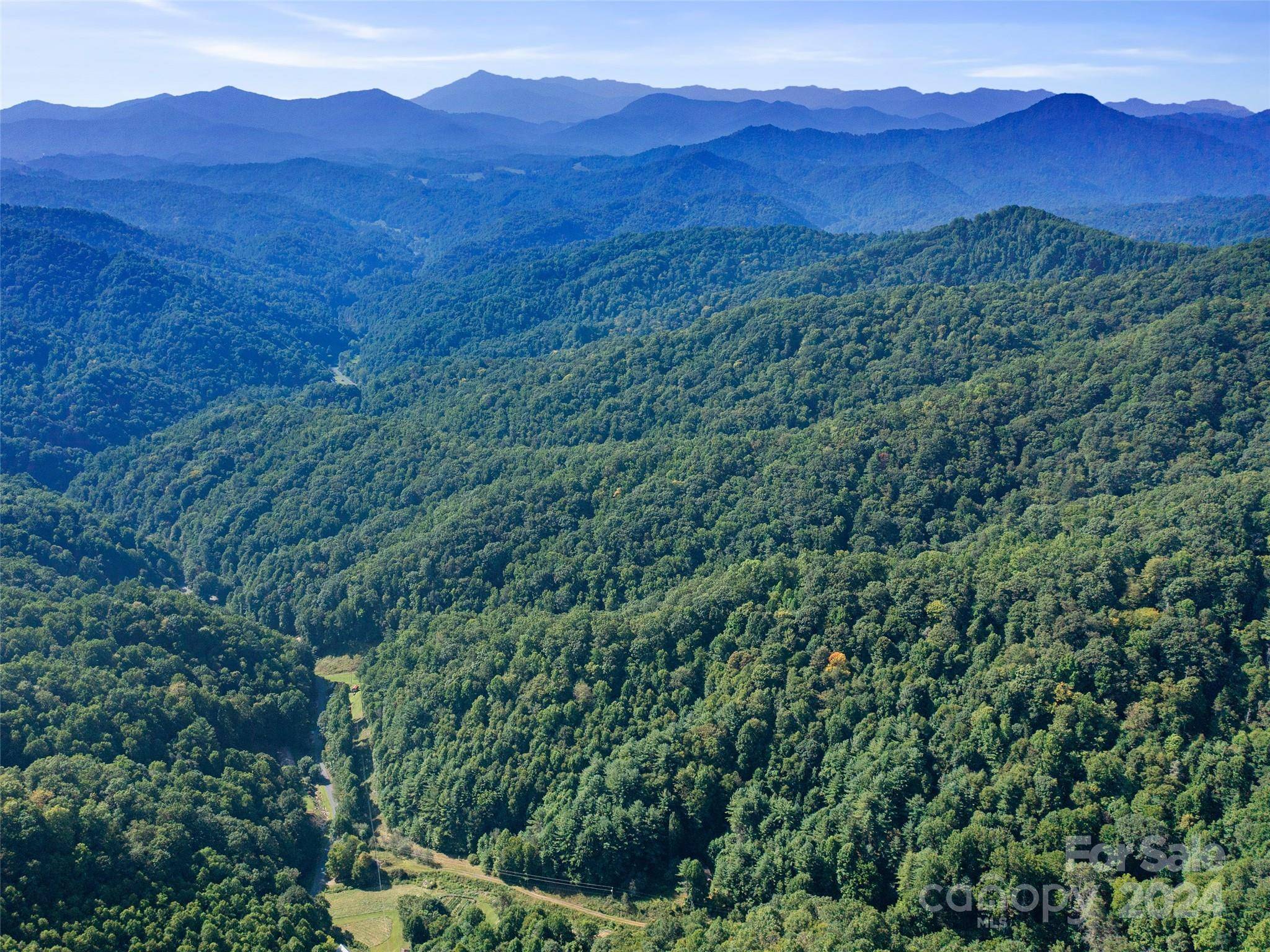 000 Byrd Creek RD, Green Mountain, NC 28740