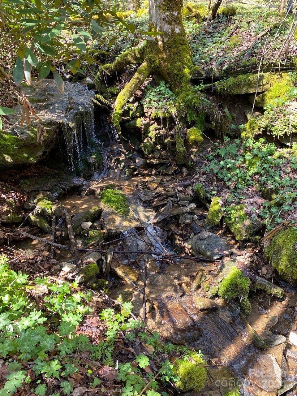 000 Byrd Creek RD, Green Mountain, NC 28740