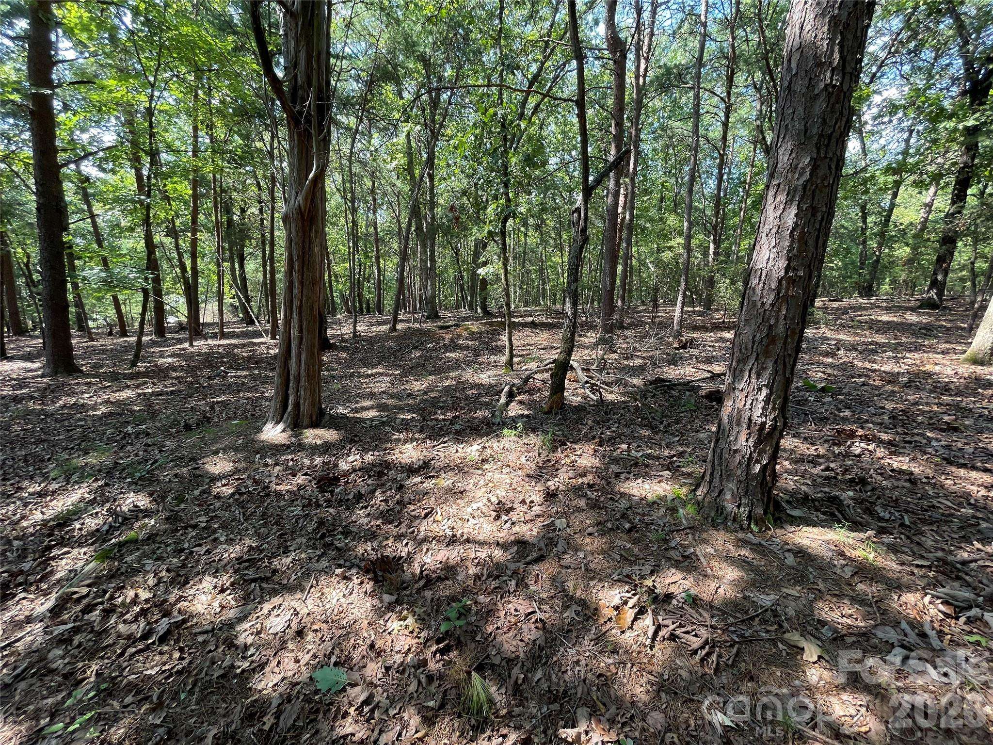 135 Deep Water CT #136 PH9, New London, NC 28127