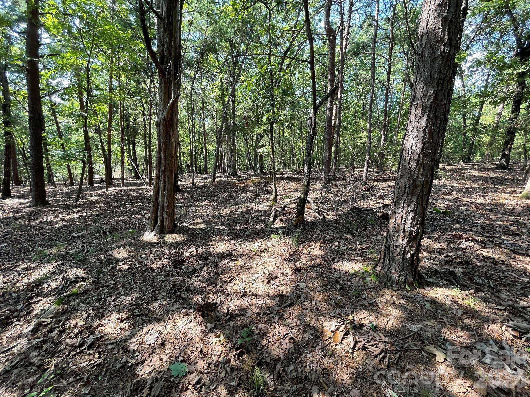 135 Deep Water CT #136 PH9, New London, NC 28127