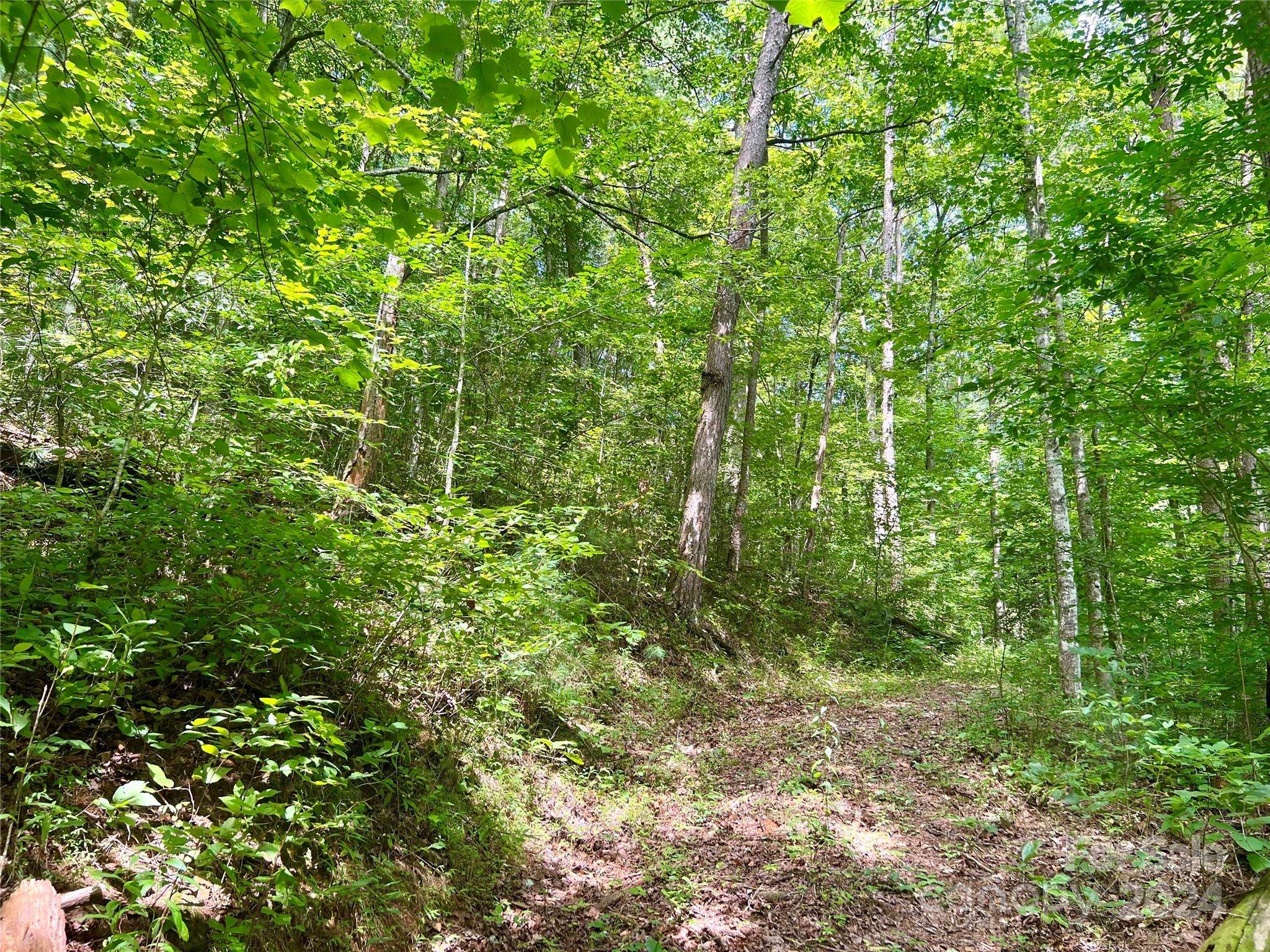 377 Jake Taylor RD, Murphy, NC 28906