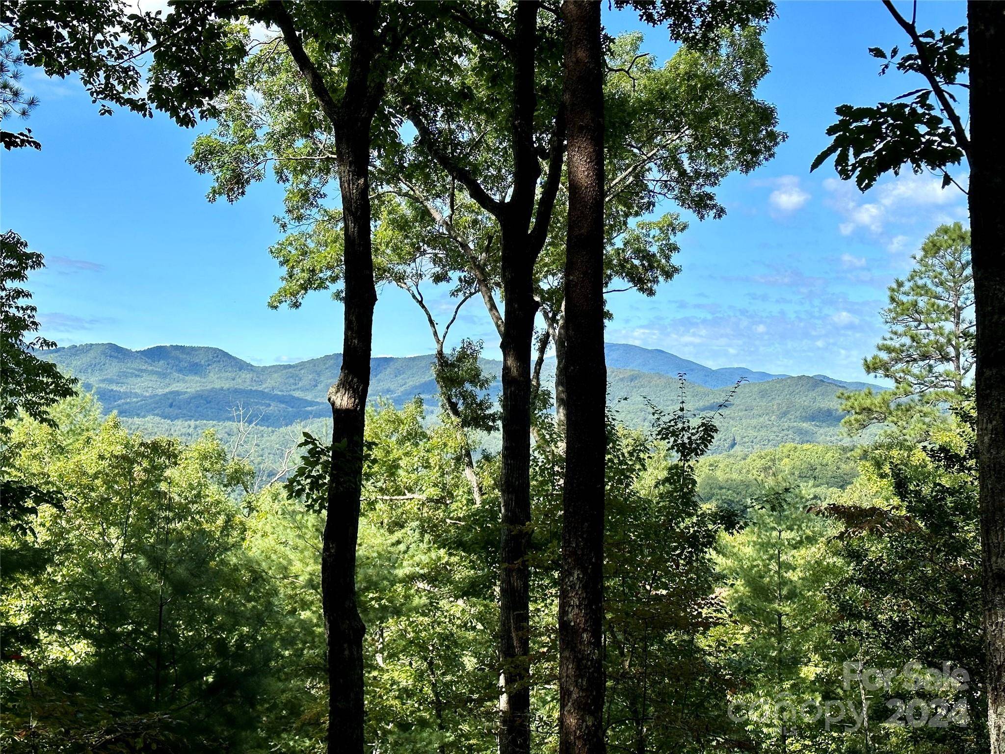 176 Winterberry DR #17, Marshall, NC 28753