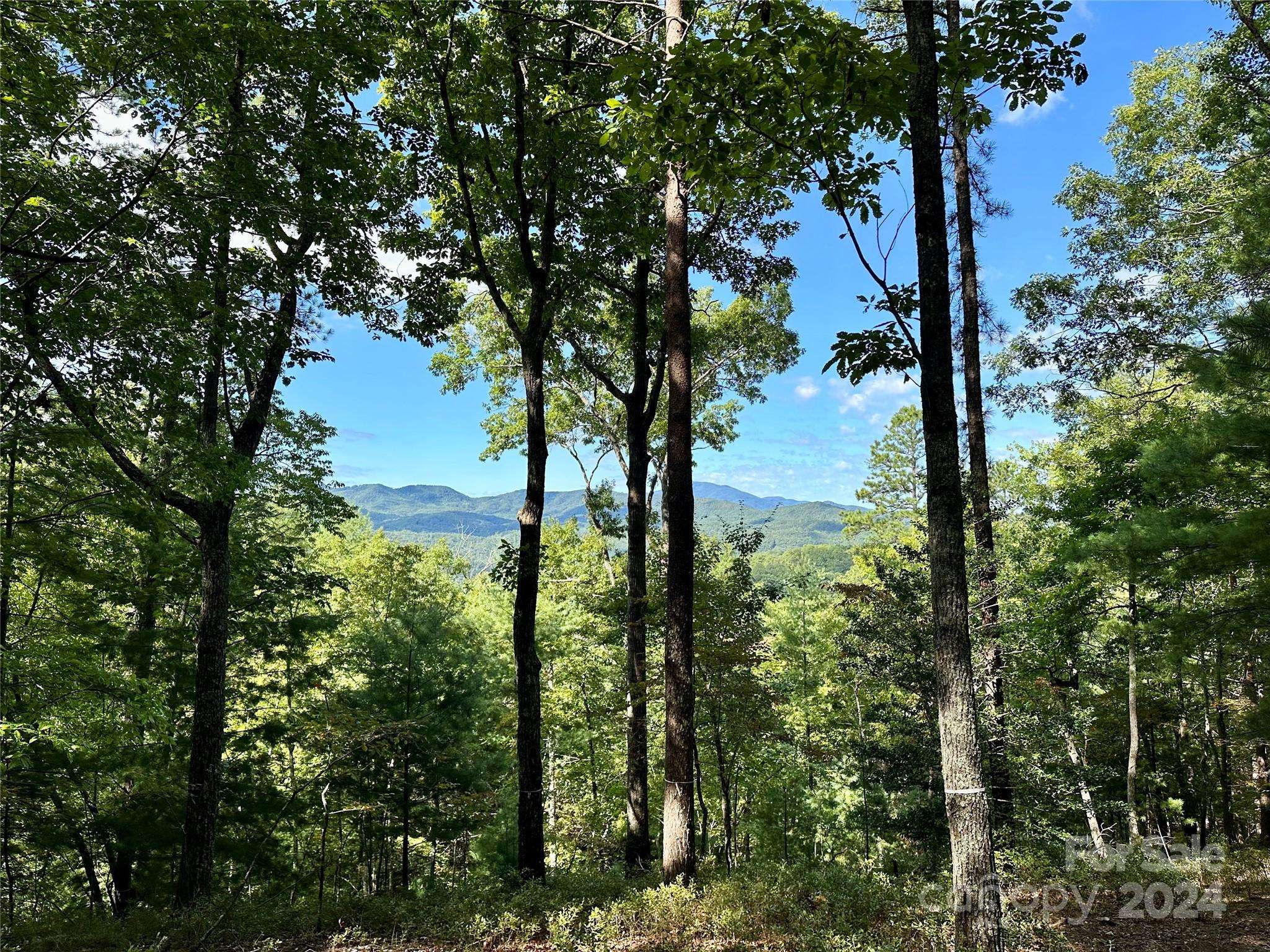 176 Winterberry DR #17, Marshall, NC 28753