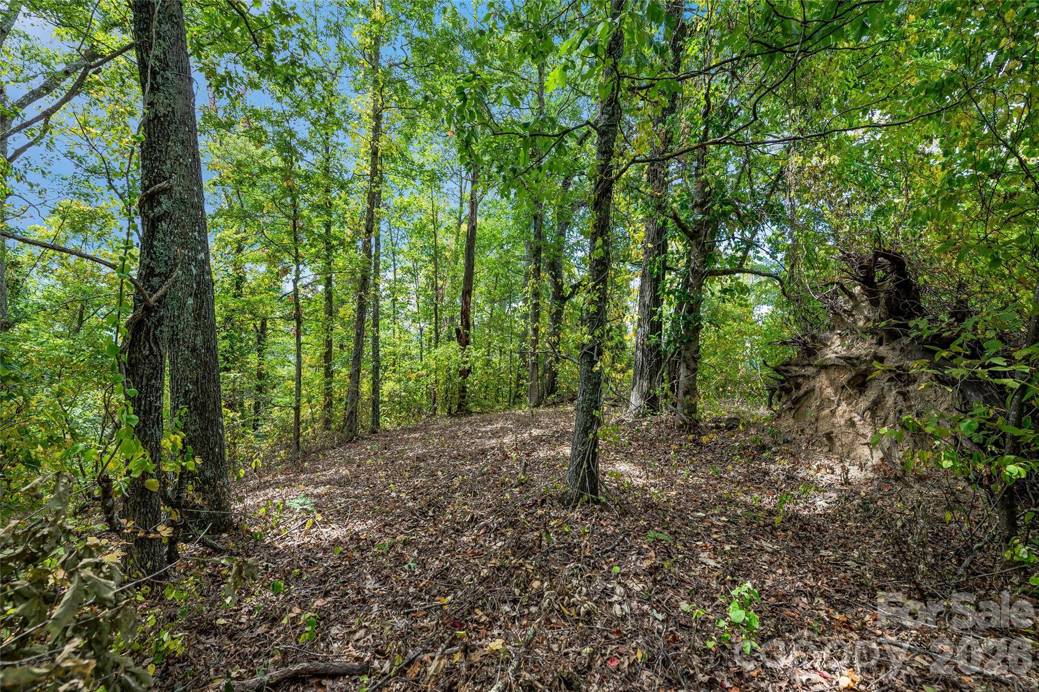 1380 Seven Glens DR, Weaverville, NC 28787