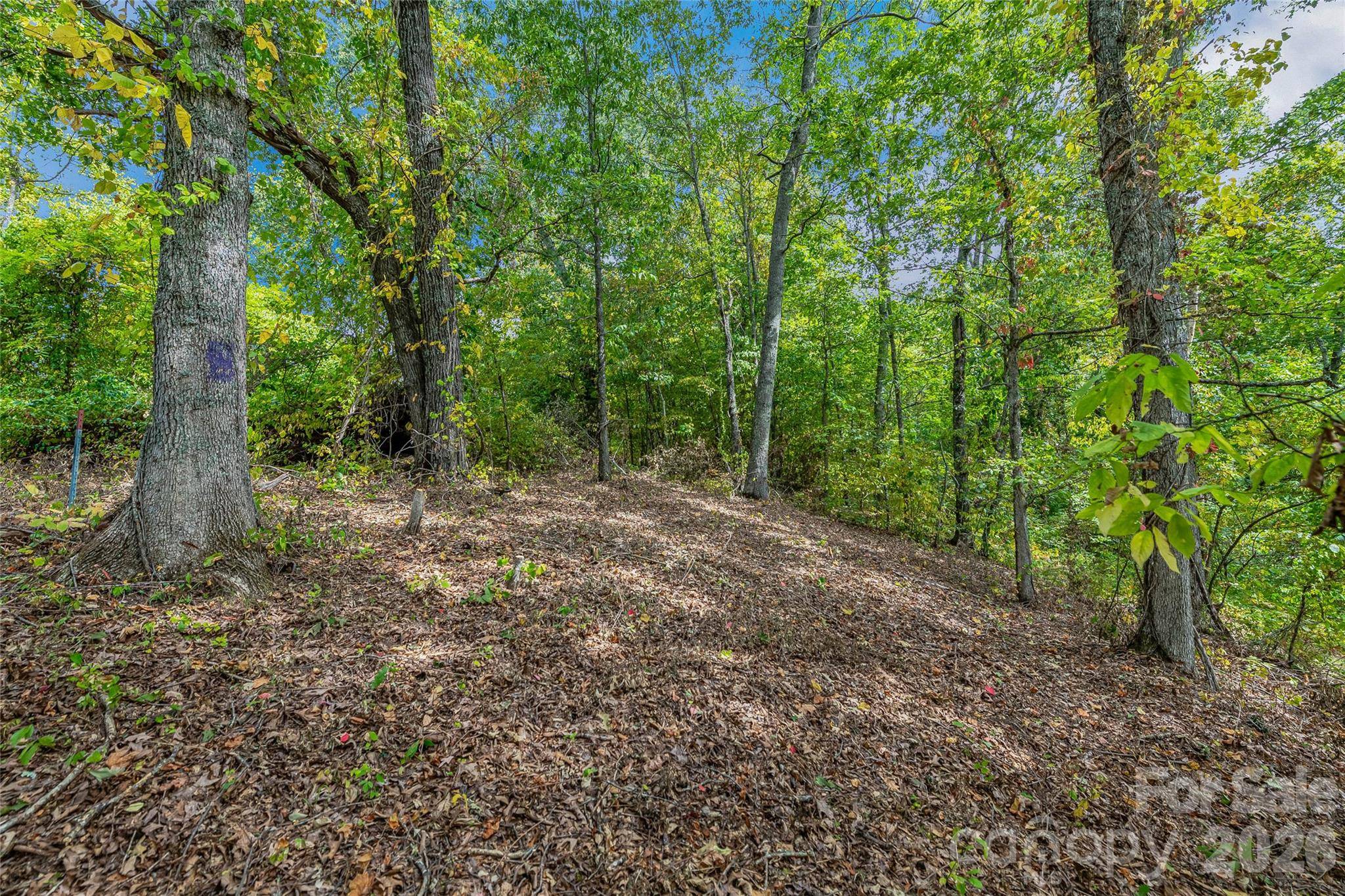1380 Seven Glens DR, Weaverville, NC 28787