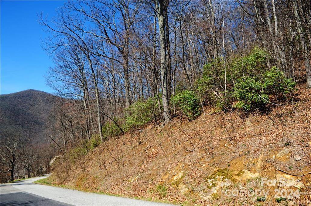 35 Wedgewood TER #1104, Black Mountain, NC 28711