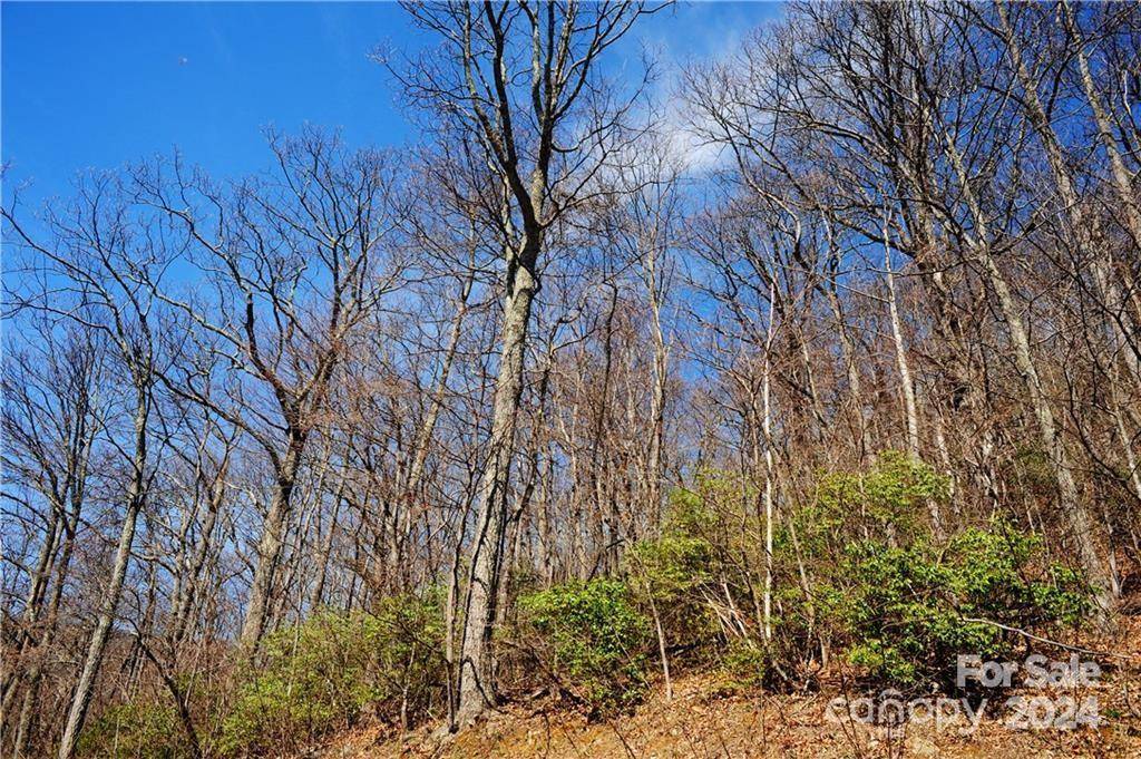 35 Wedgewood TER #1104, Black Mountain, NC 28711