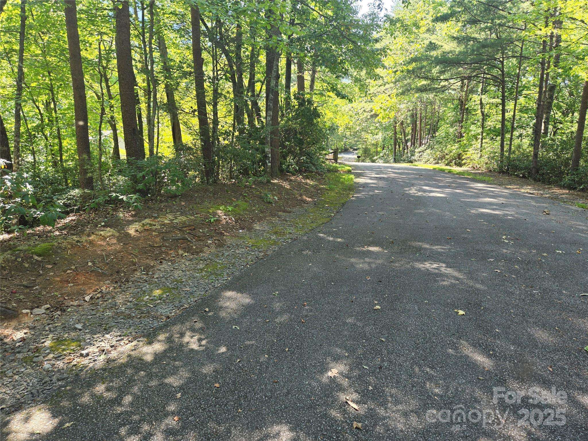 Lot 152 Sullivan LN, Lake Lure, NC 28746