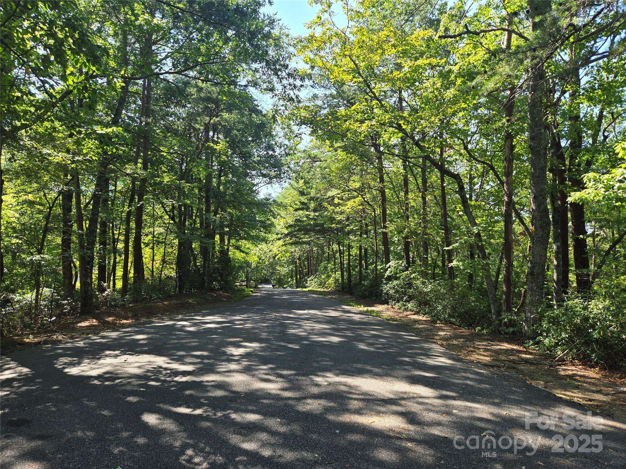 Lot 152 Sullivan LN, Lake Lure, NC 28746