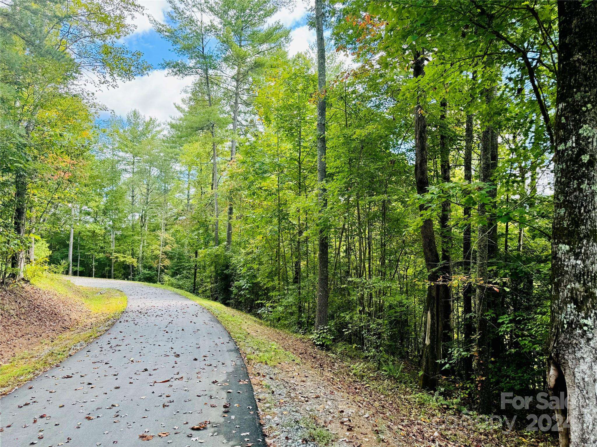 10.21, acres Lot 90  1981 Round Mountain Pkwy #90, Lenoir, NC 28645