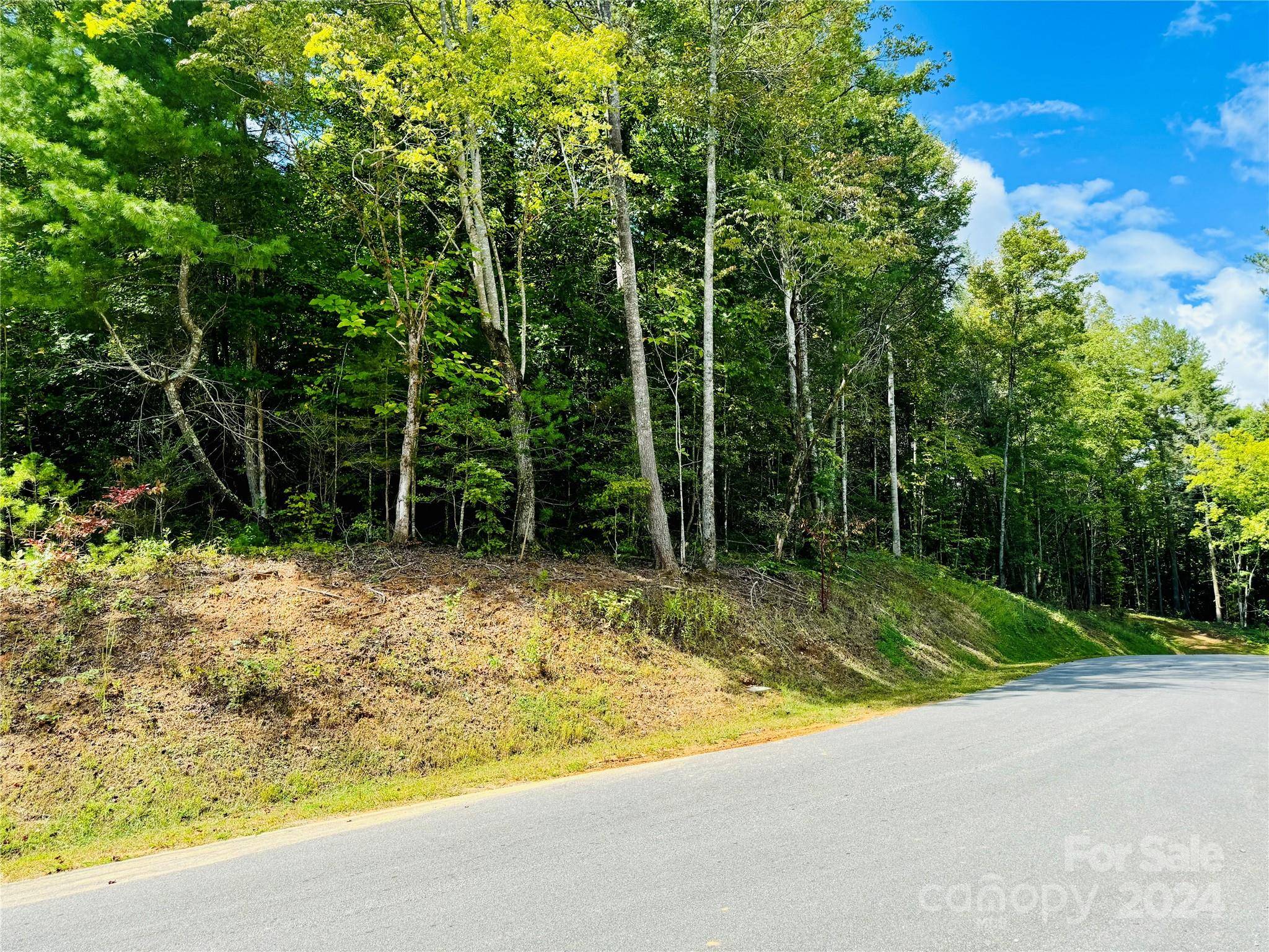 10.21, acres Lot 90 1981 Round Mountain Pkwy #90, Lenoir, NC 28645
