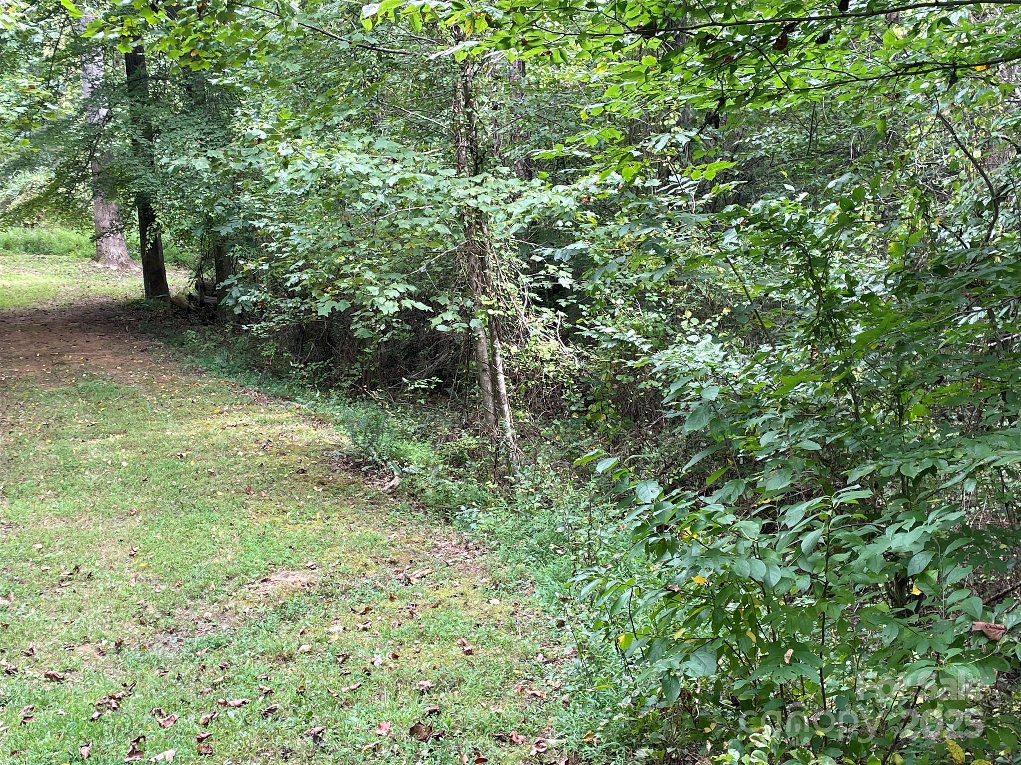 99999 Monticello RD, Weaverville, NC 28787