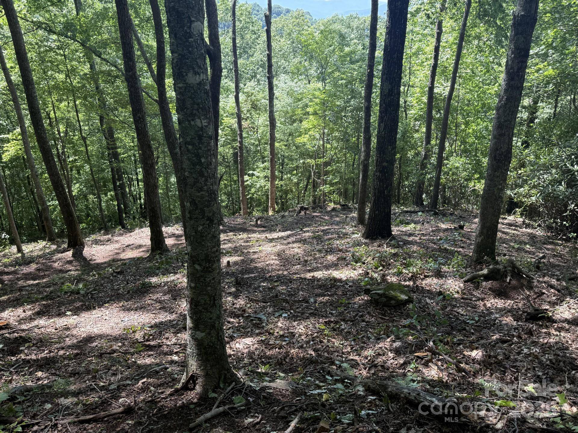 Lt 176 E Reach RD #176, Sylva, NC 28779