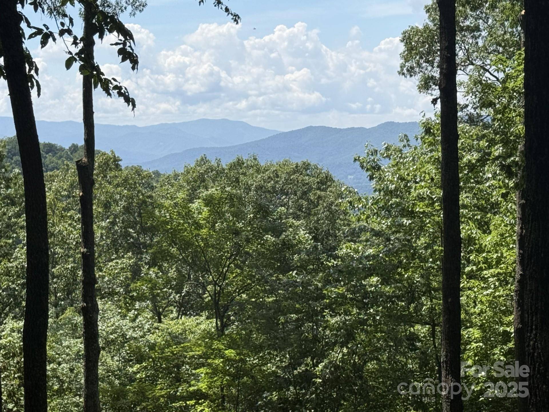 Lt 176 E Reach RD #176, Sylva, NC 28779