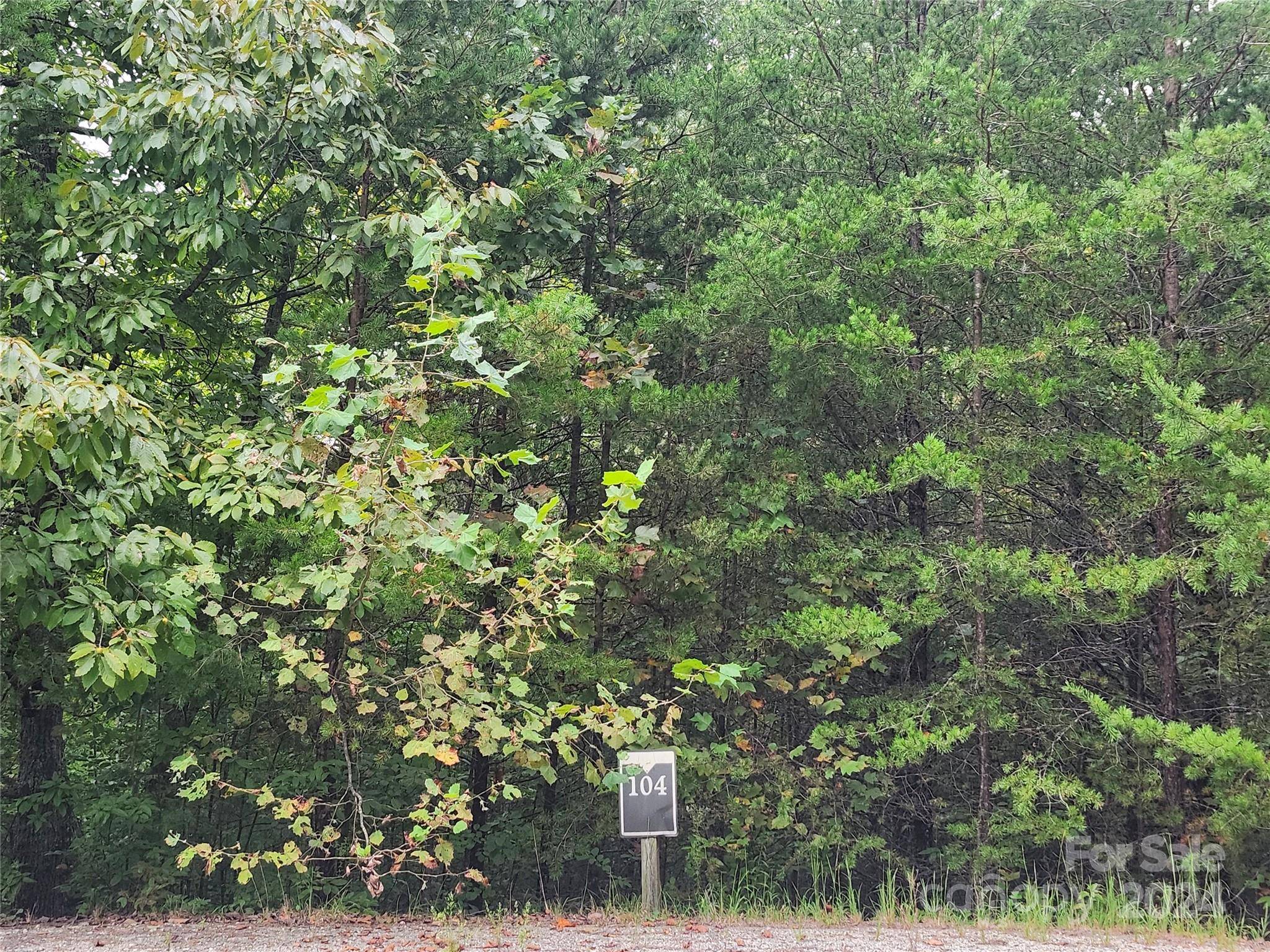 Lot 104 Boysenberry DR, Nebo, NC 28761