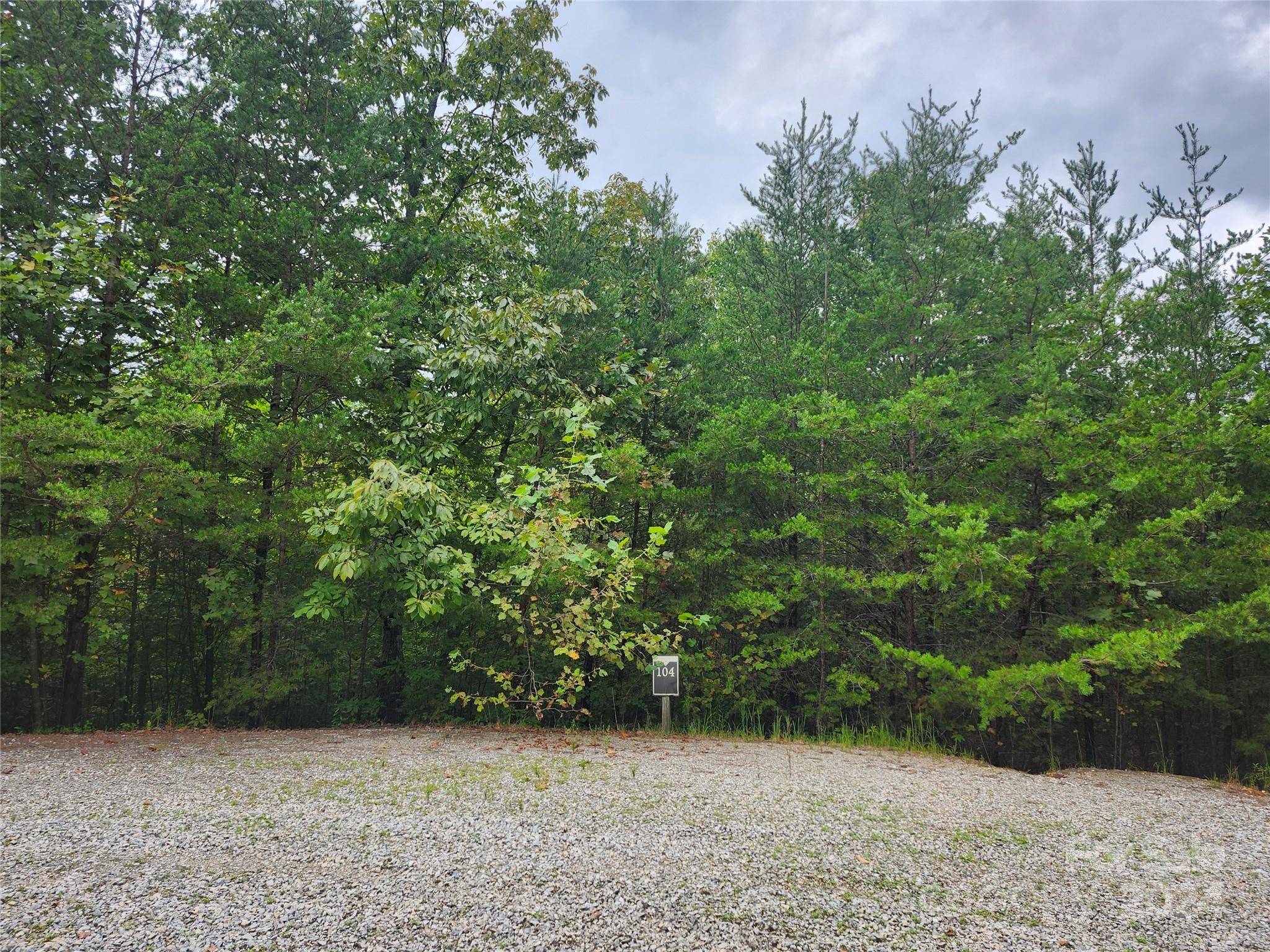 Lot 104 Boysenberry DR, Nebo, NC 28761