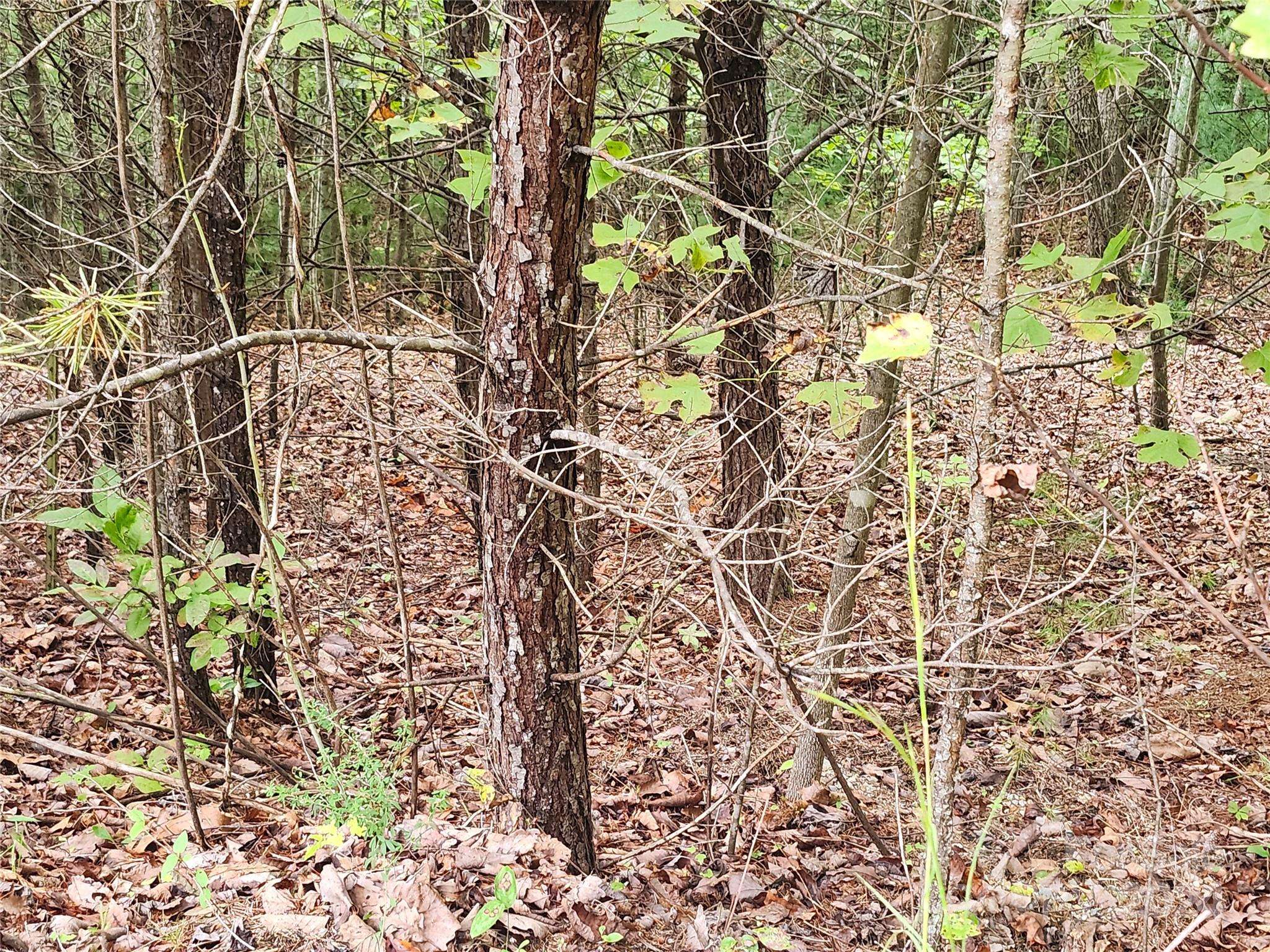 Lot 104 Boysenberry DR, Nebo, NC 28761
