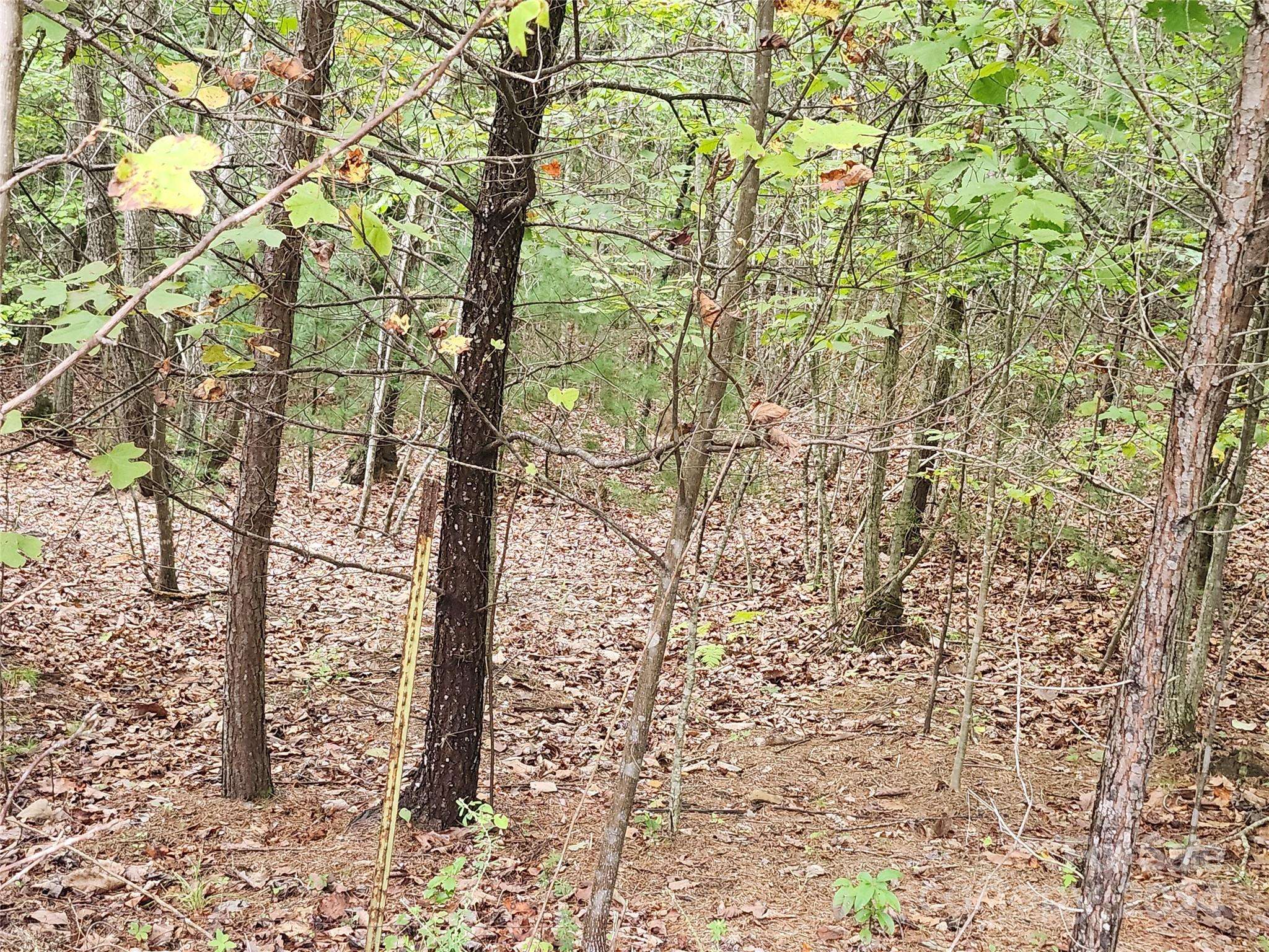 Lot 104 Boysenberry DR, Nebo, NC 28761