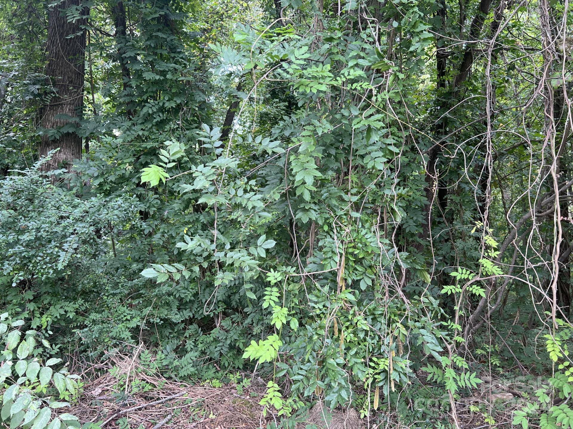 00 Maplewood LN, New London, NC 28127